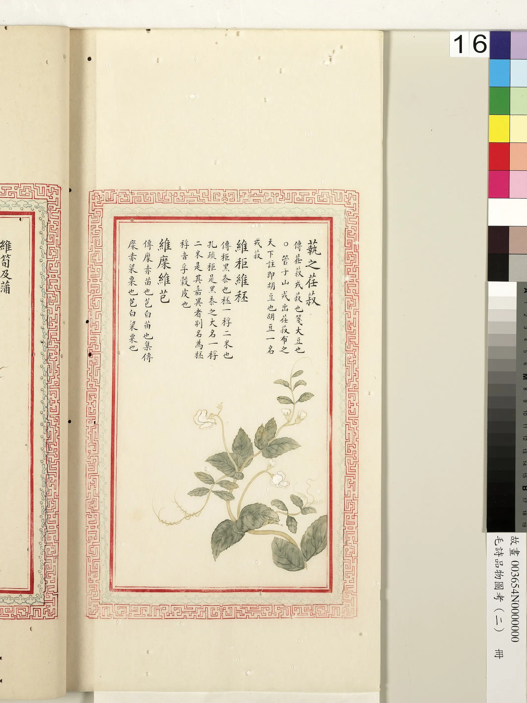 清代《毛诗品物图考(二)册-1》 第46张 清代《毛诗品物图考(二)册-1》 第46张