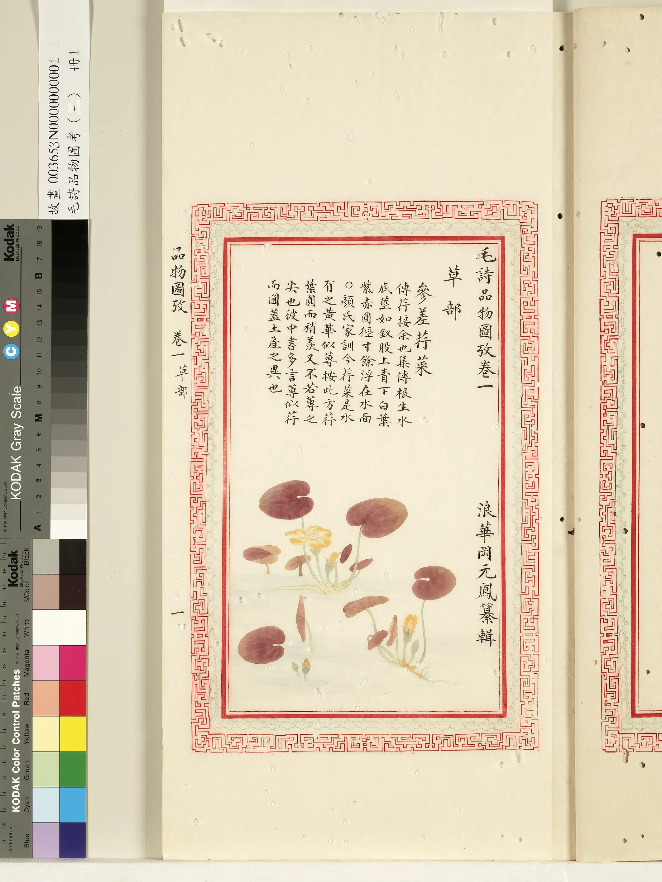 清朝【佚名】《毛诗品物图考（一）册-参差荇菜-1》 第1张
