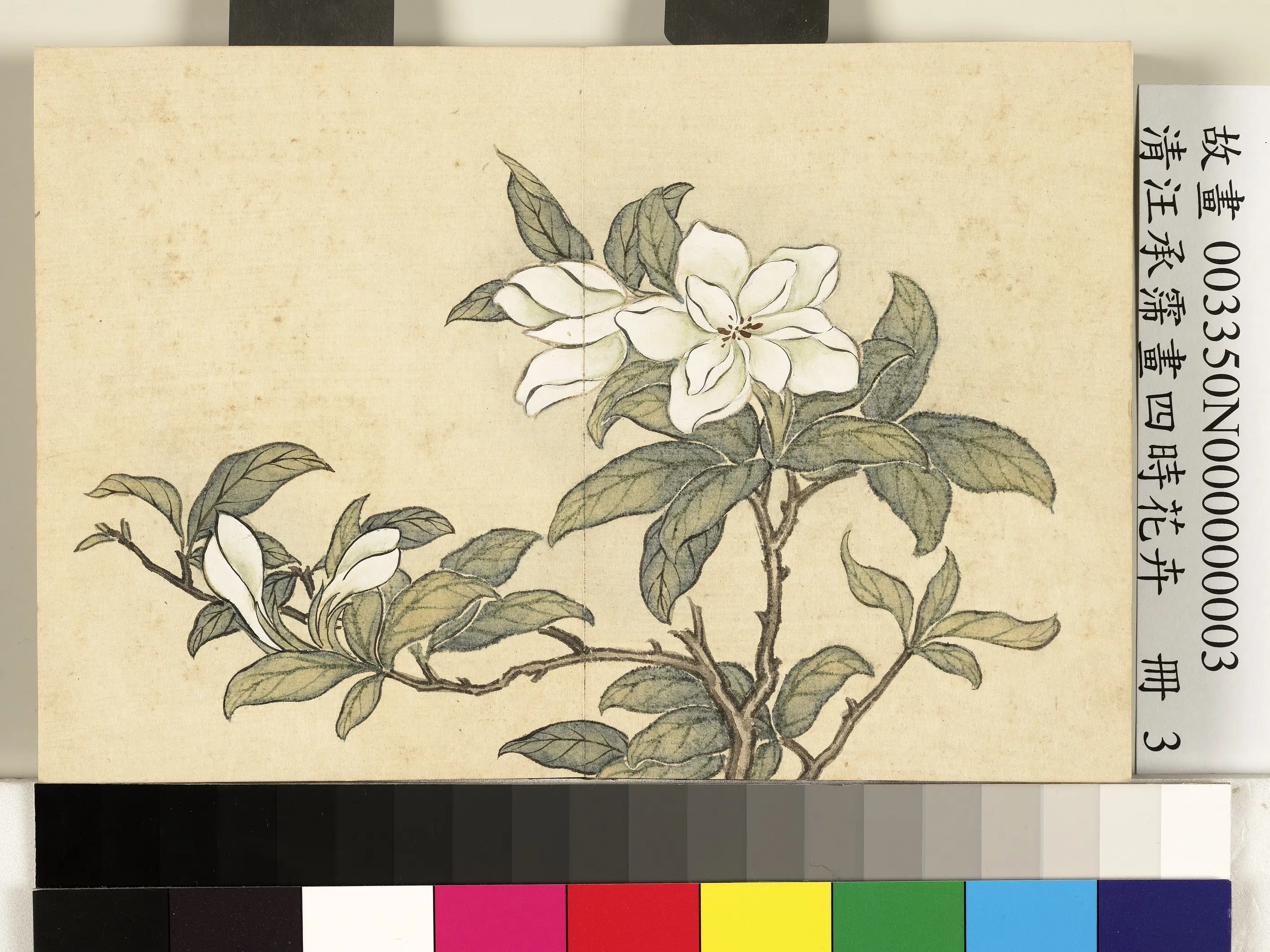 清代【汪承霈】《画四时花卉册》 第2张