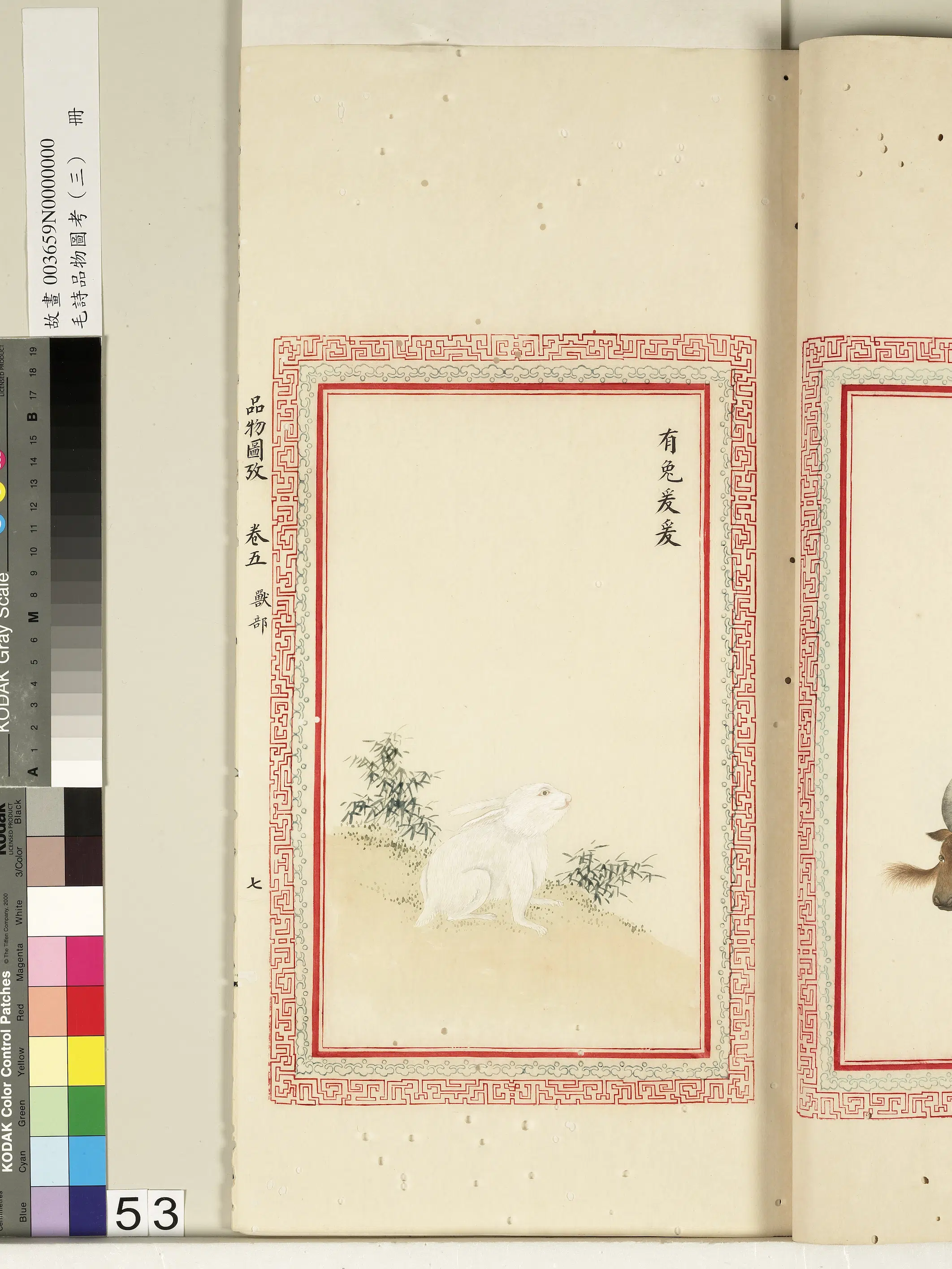 清代《毛诗品物图考（三）册-2》 第23张
