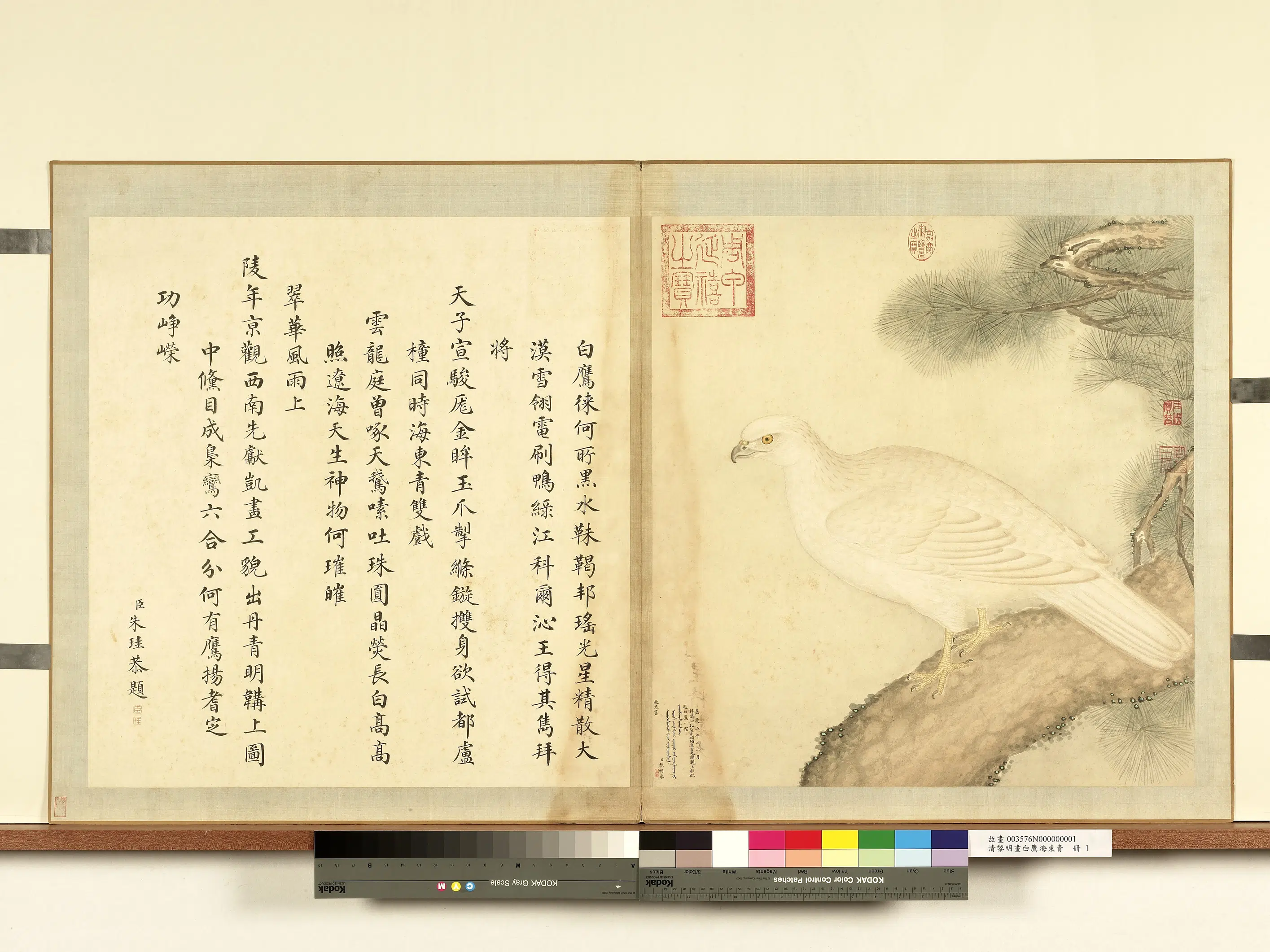 清代【黎明】《画白鹰海东青册》 第3张 清代【黎明】《画白鹰海东青册》 第3张