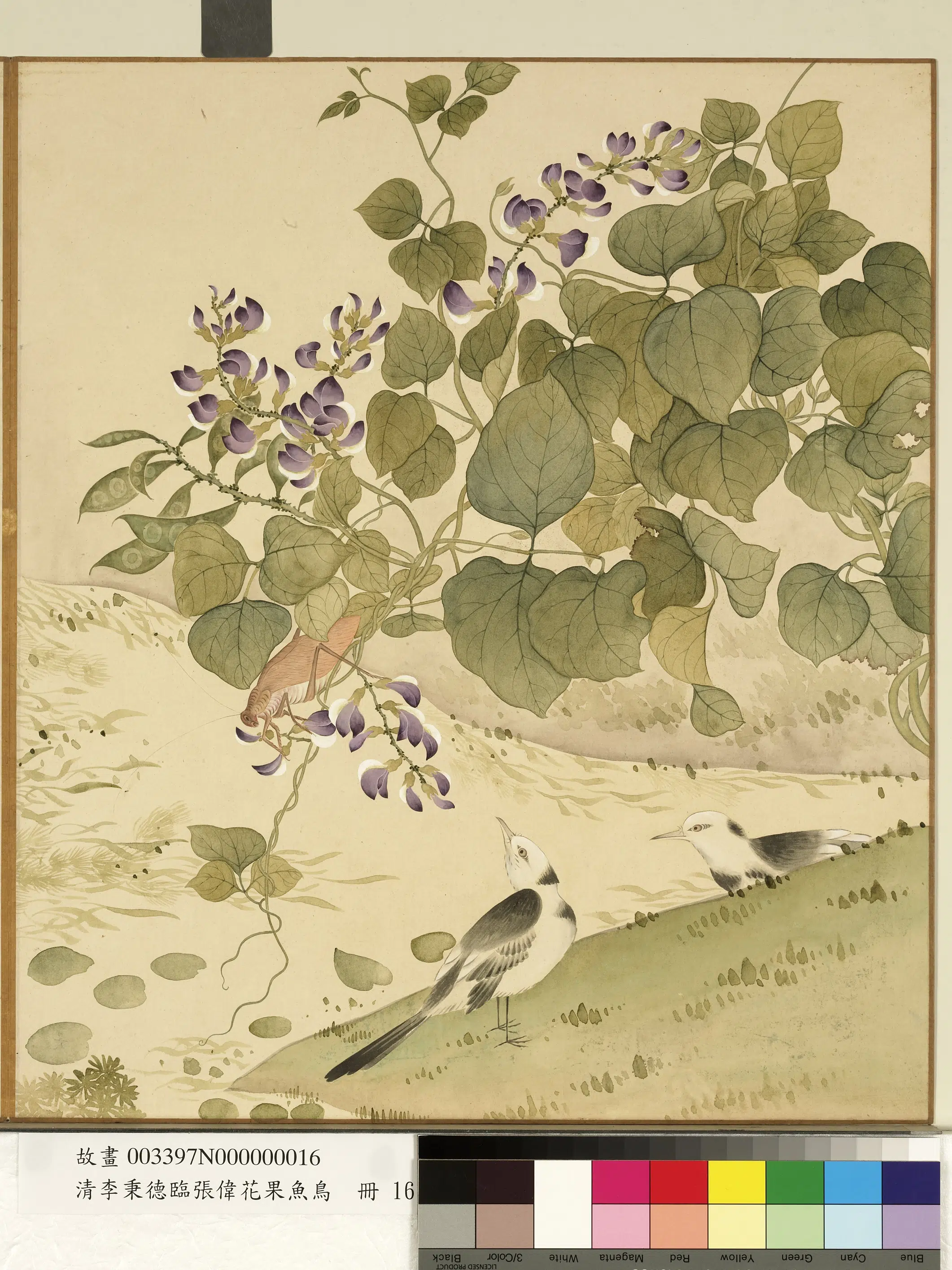 清代【李秉德】《临张伟花果鱼鸟册》 第24张