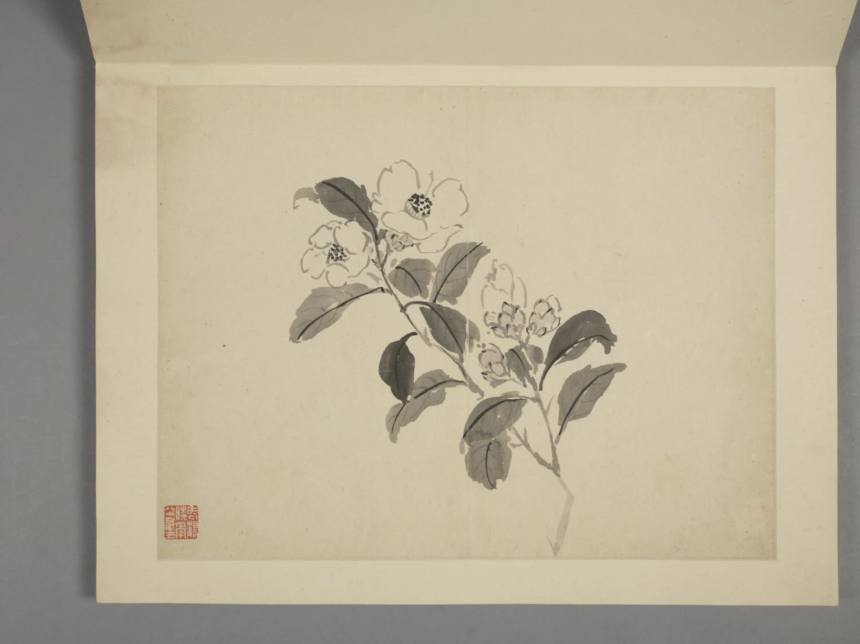 清代【杨晋】《山水花鸟册（10开）》 第7张