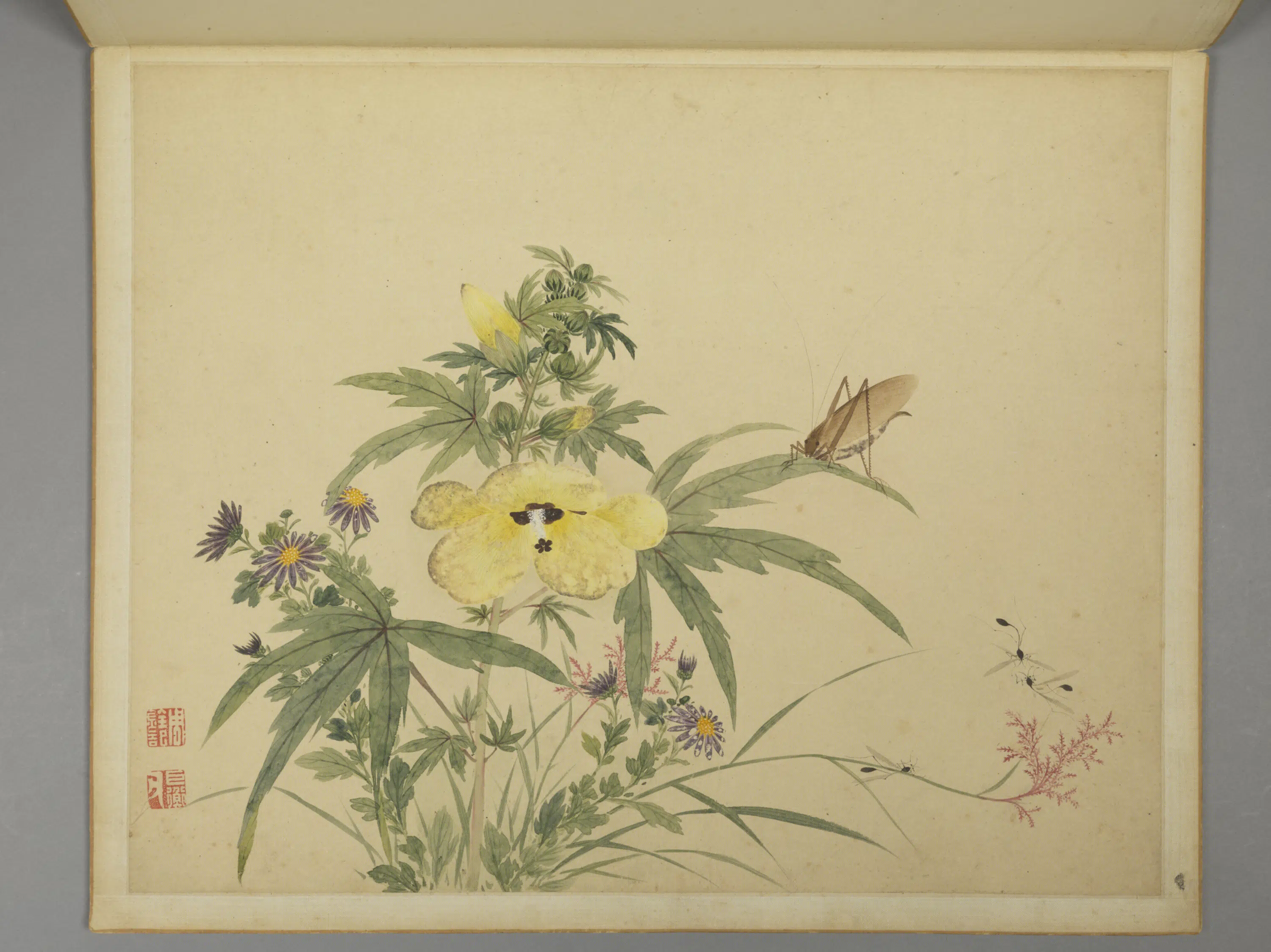 清代【周铨】《花鸟昆虫图册（12开）》 第4张