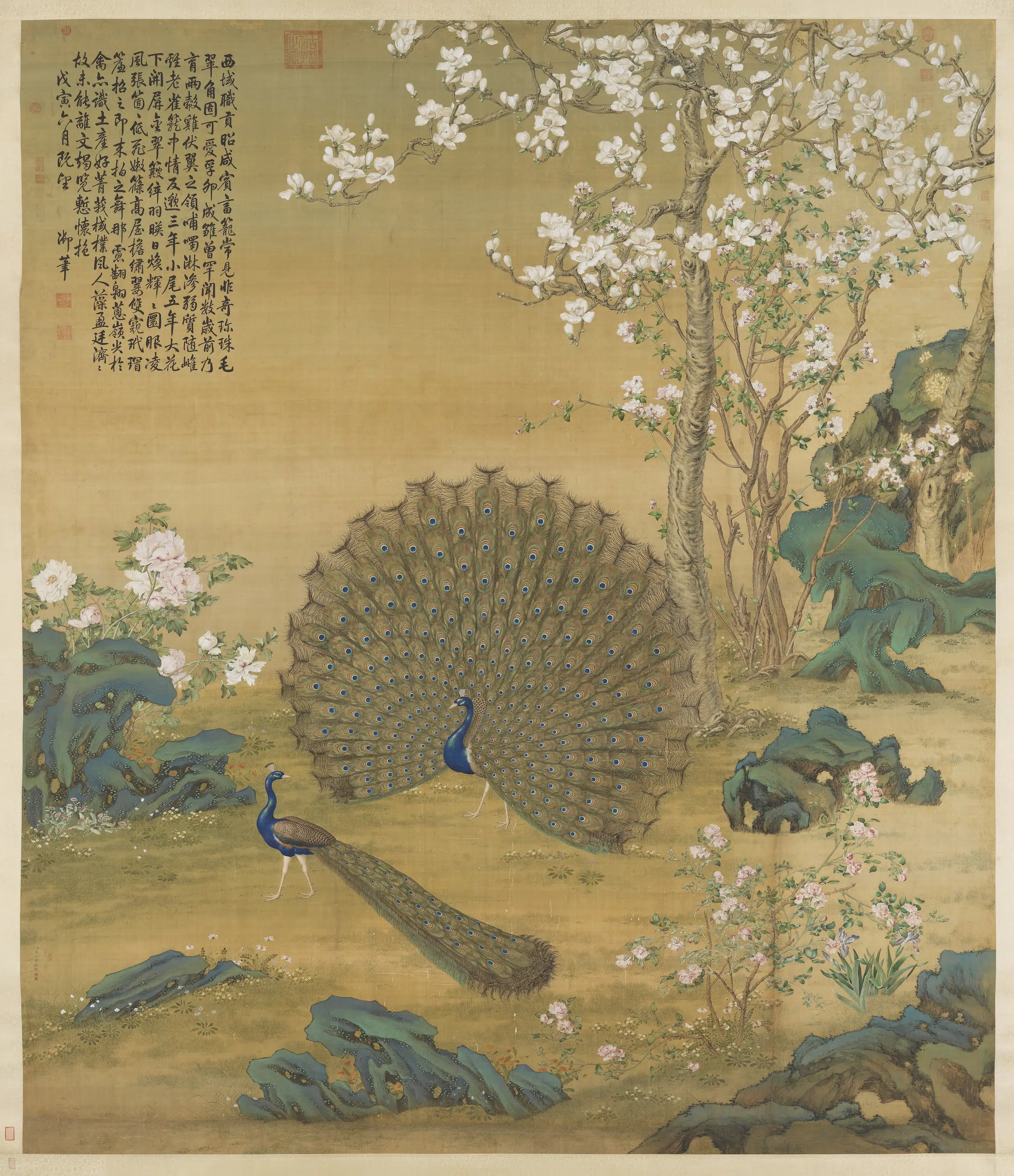 清代【郎世宁】《孔雀开屏图轴》