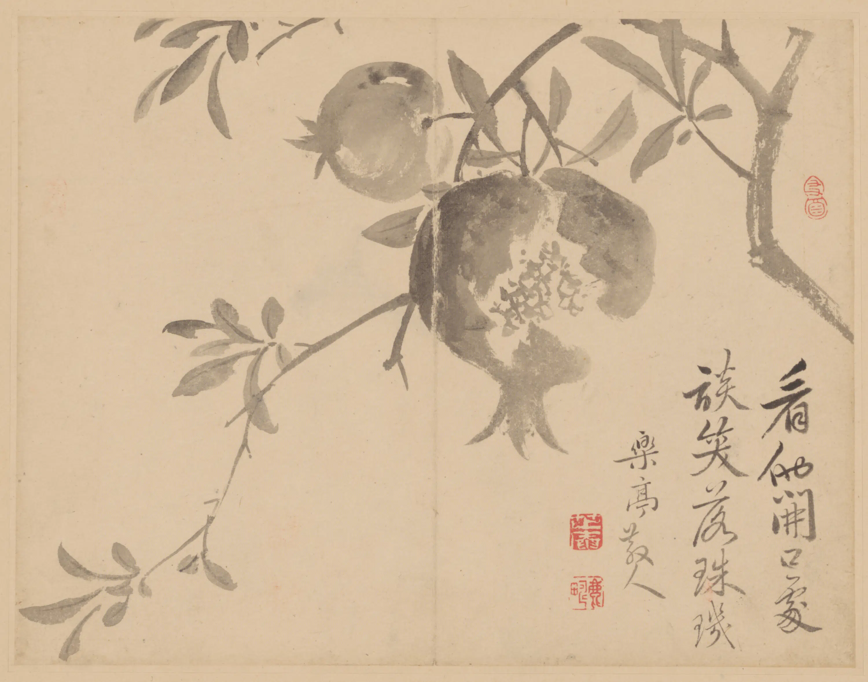 清代【范廷镇】《花卉册》 第9张 清代【范廷镇】《花卉册》 第9张