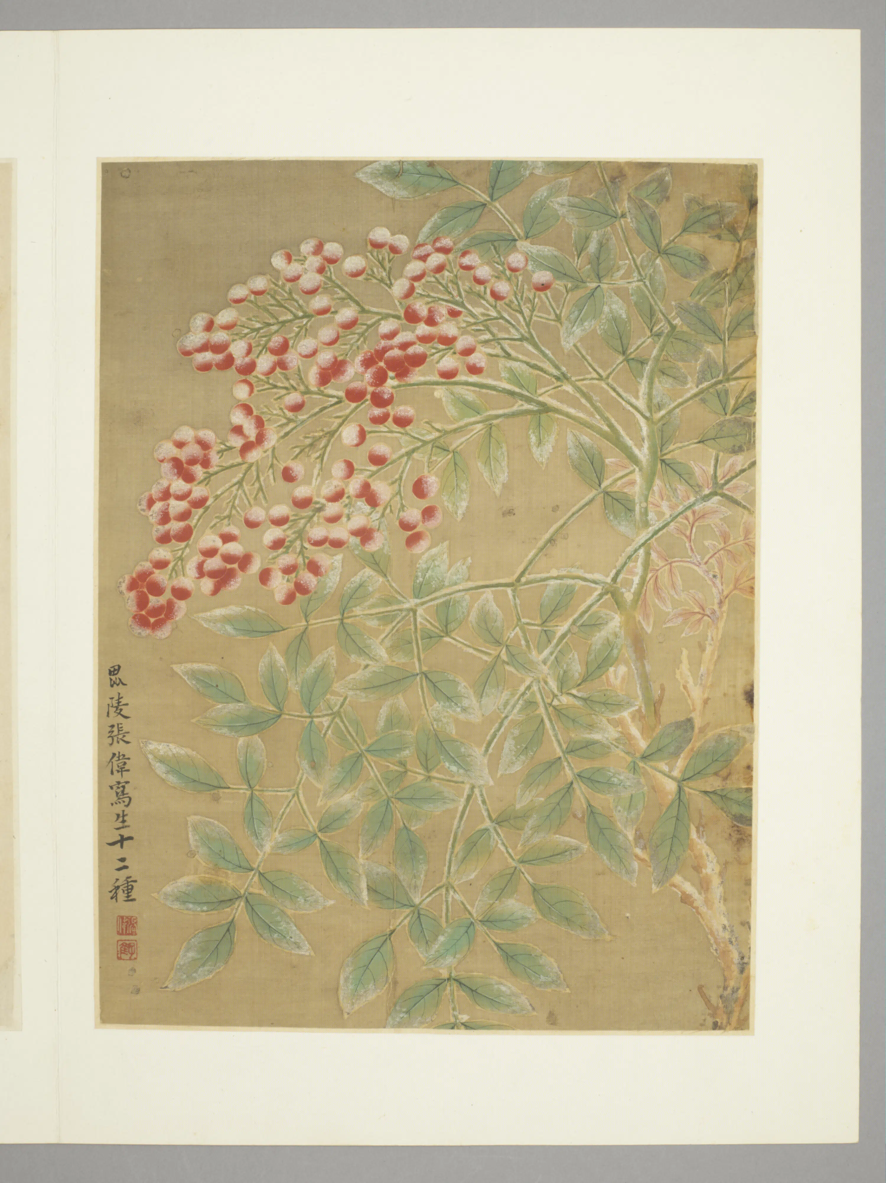 清代【张伟】《花卉册（9开）》 第2张
