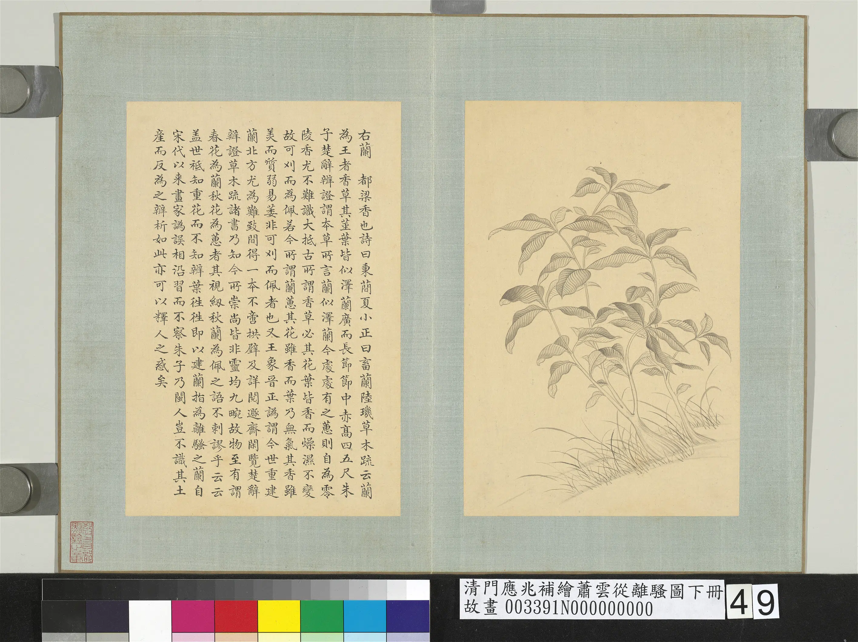 清代【门应兆】《补绘萧云从离骚图下册-都梁香》
