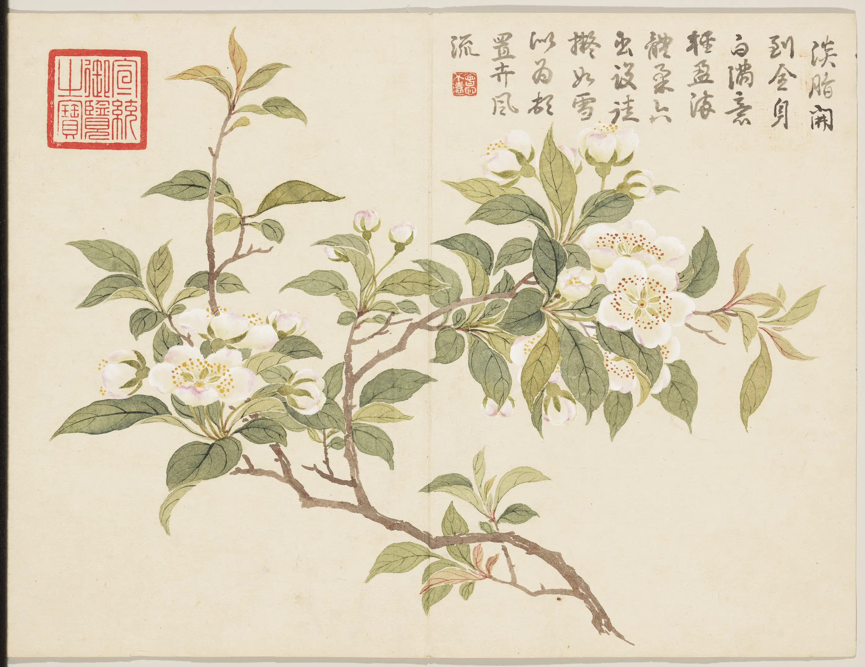 清代【董诰】《画芳敷绮序册-梨花》