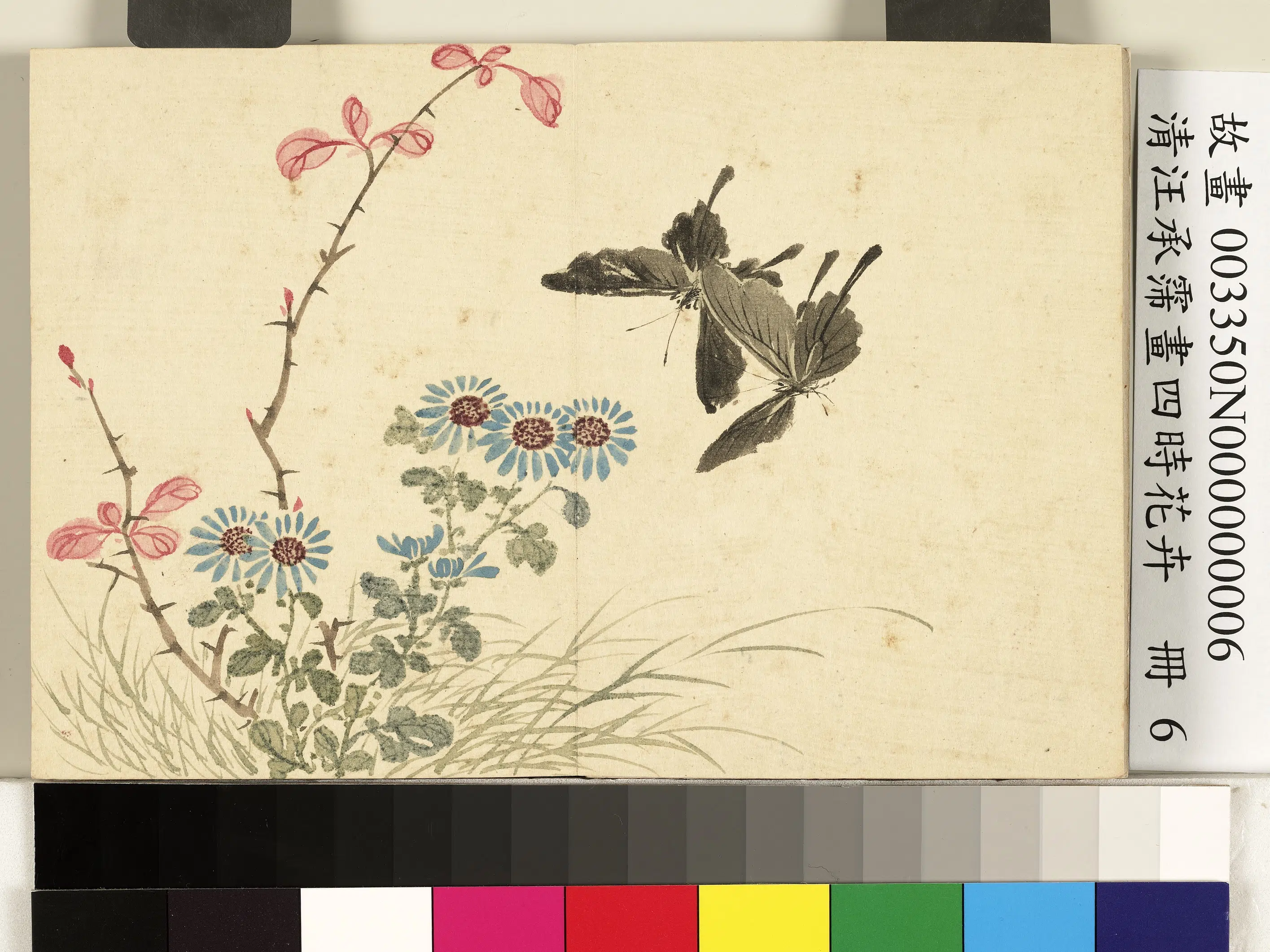 清代【汪承霈】《画四时花卉册-菊花小蝶》