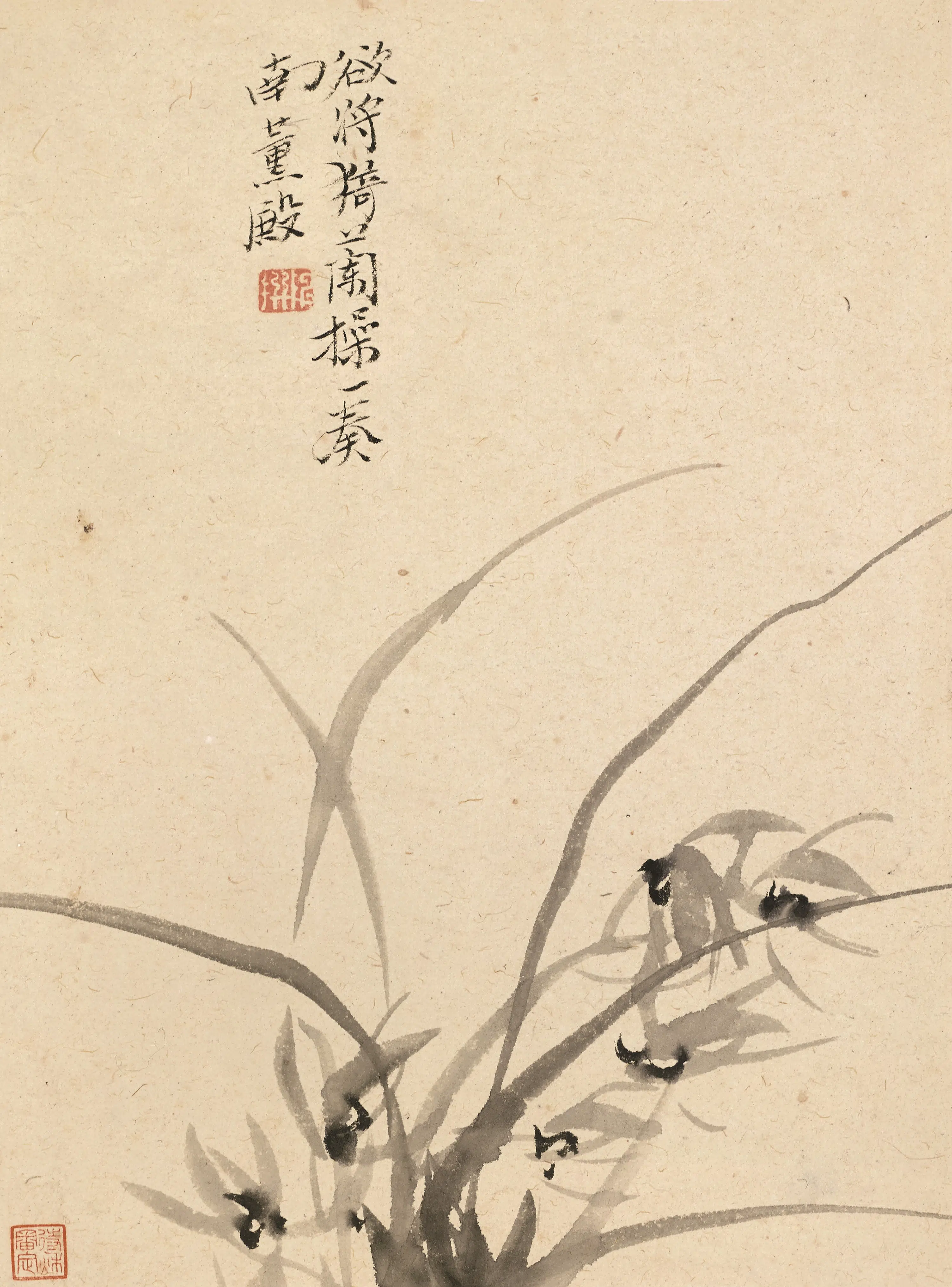 清代【陈撰】《花卉图册-2》