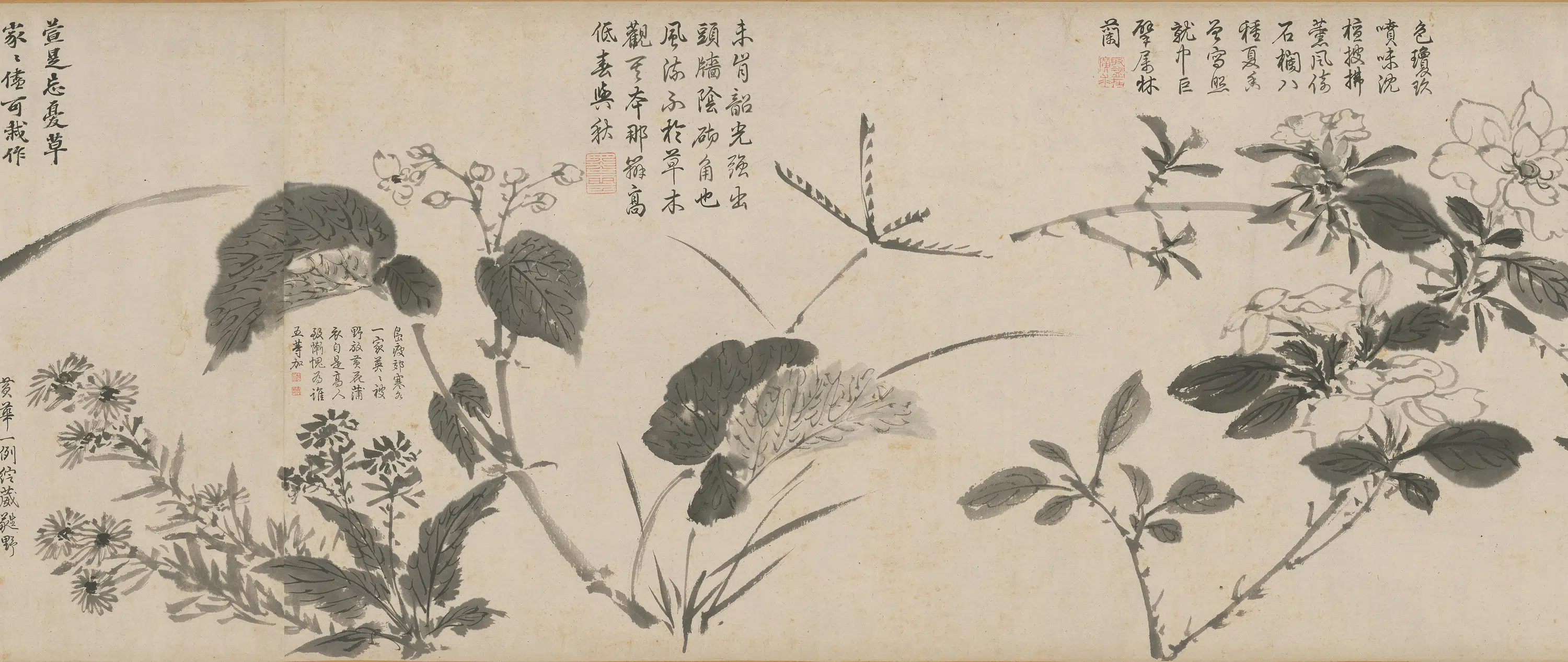 明朝【周之冕】《百花图卷》 第8张 明朝【周之冕】《百花图卷》 第8张
