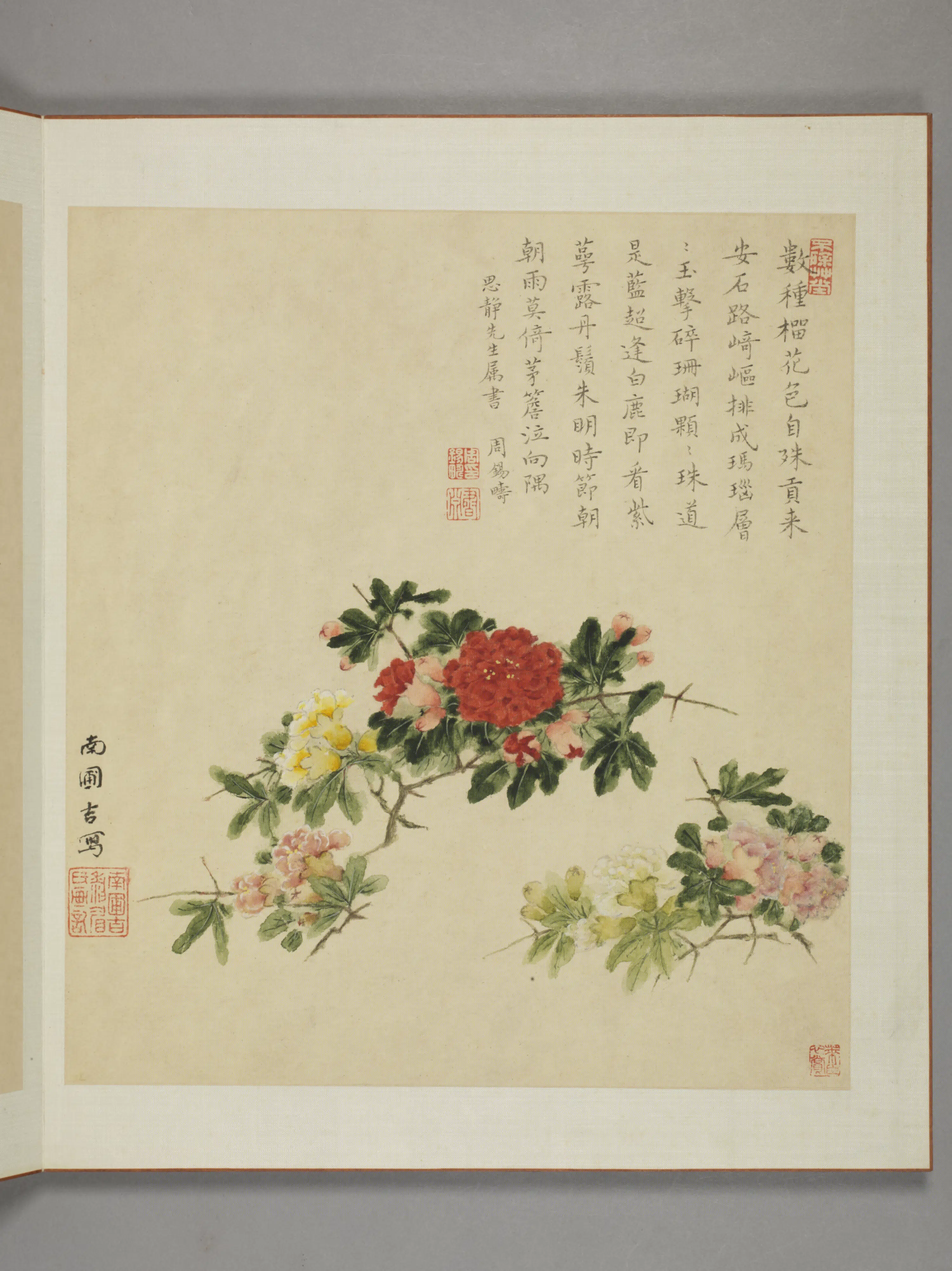 清代【邹显吉】《花卉图册》 第7张