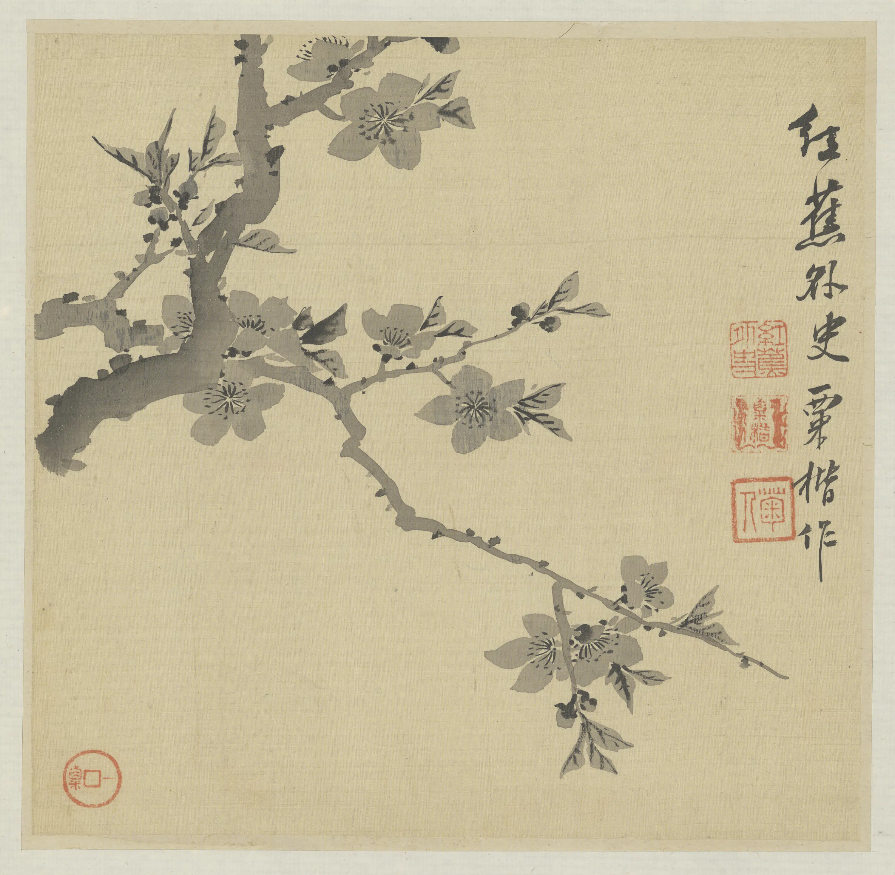 清代【粟楷】《花卉册》 第4张