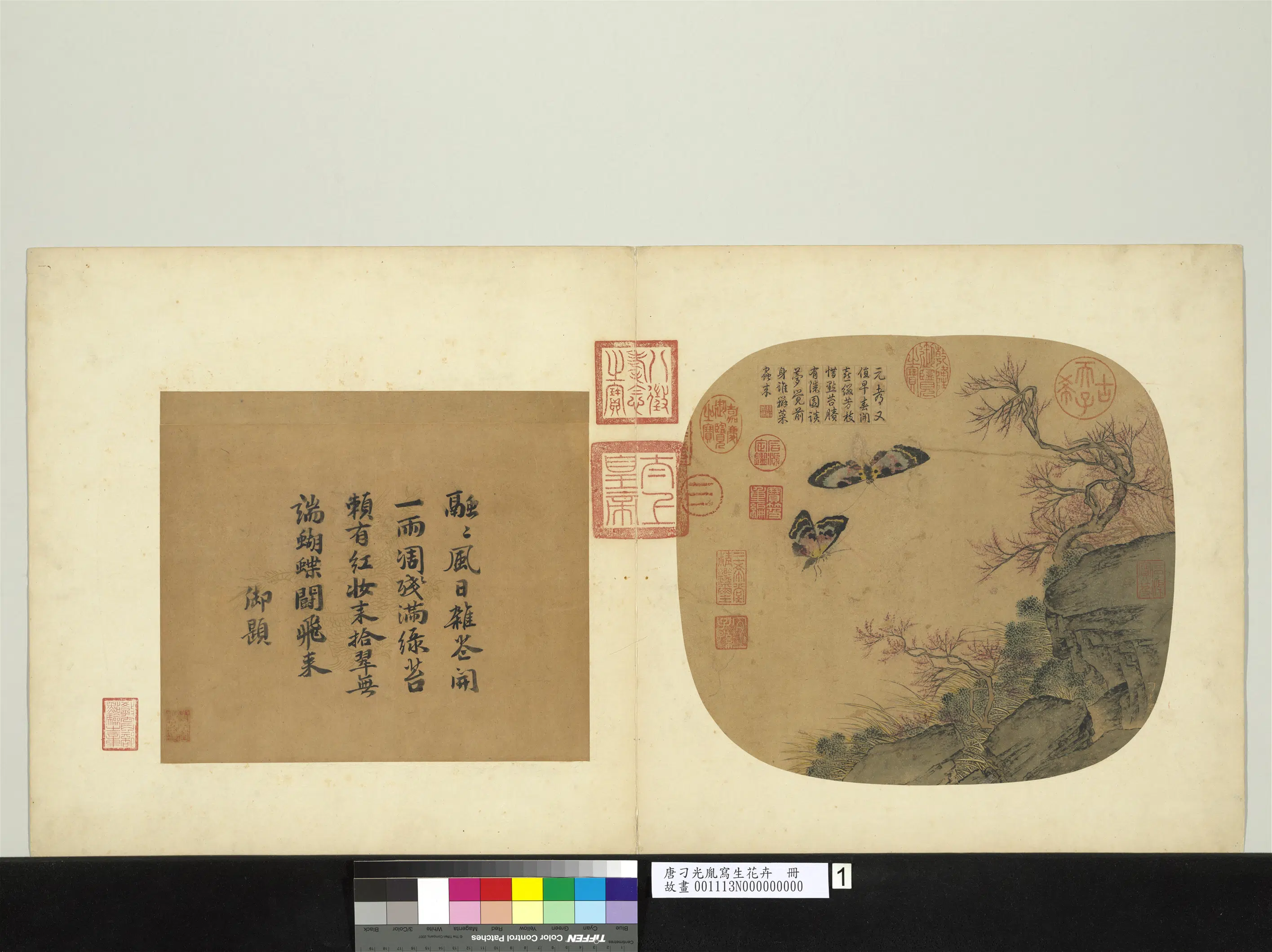 唐朝【刁光胤】《写生花卉册》 第6张