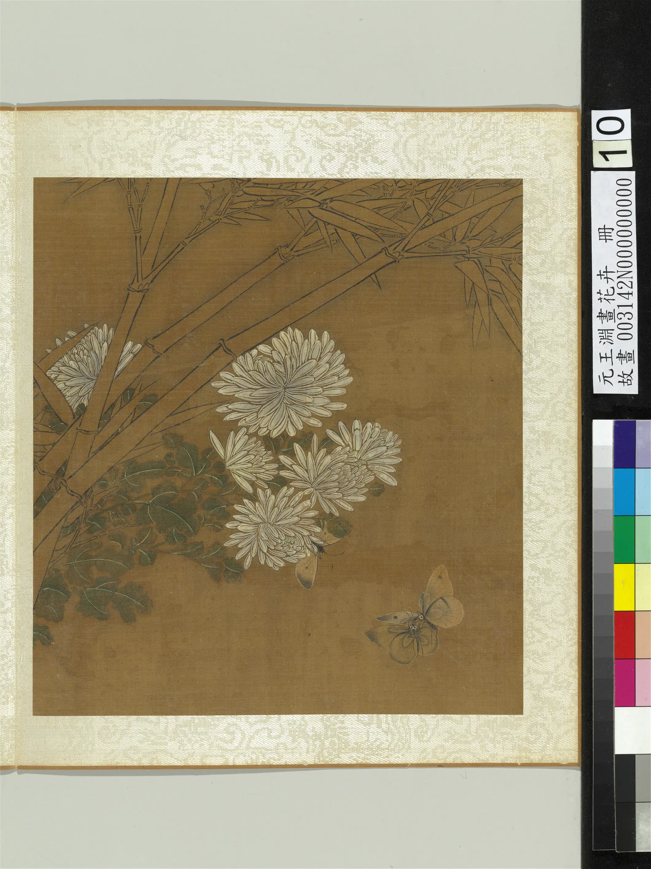 元朝【王渊】《画花卉册》 第8张 元朝【王渊】《画花卉册》 第8张