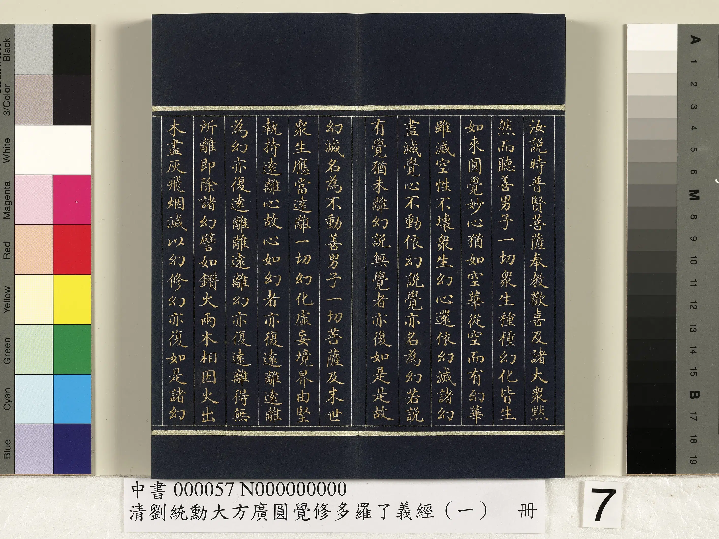 清代【刘统勋】《大方广圆觉修多罗了义经（一）册》 第31张