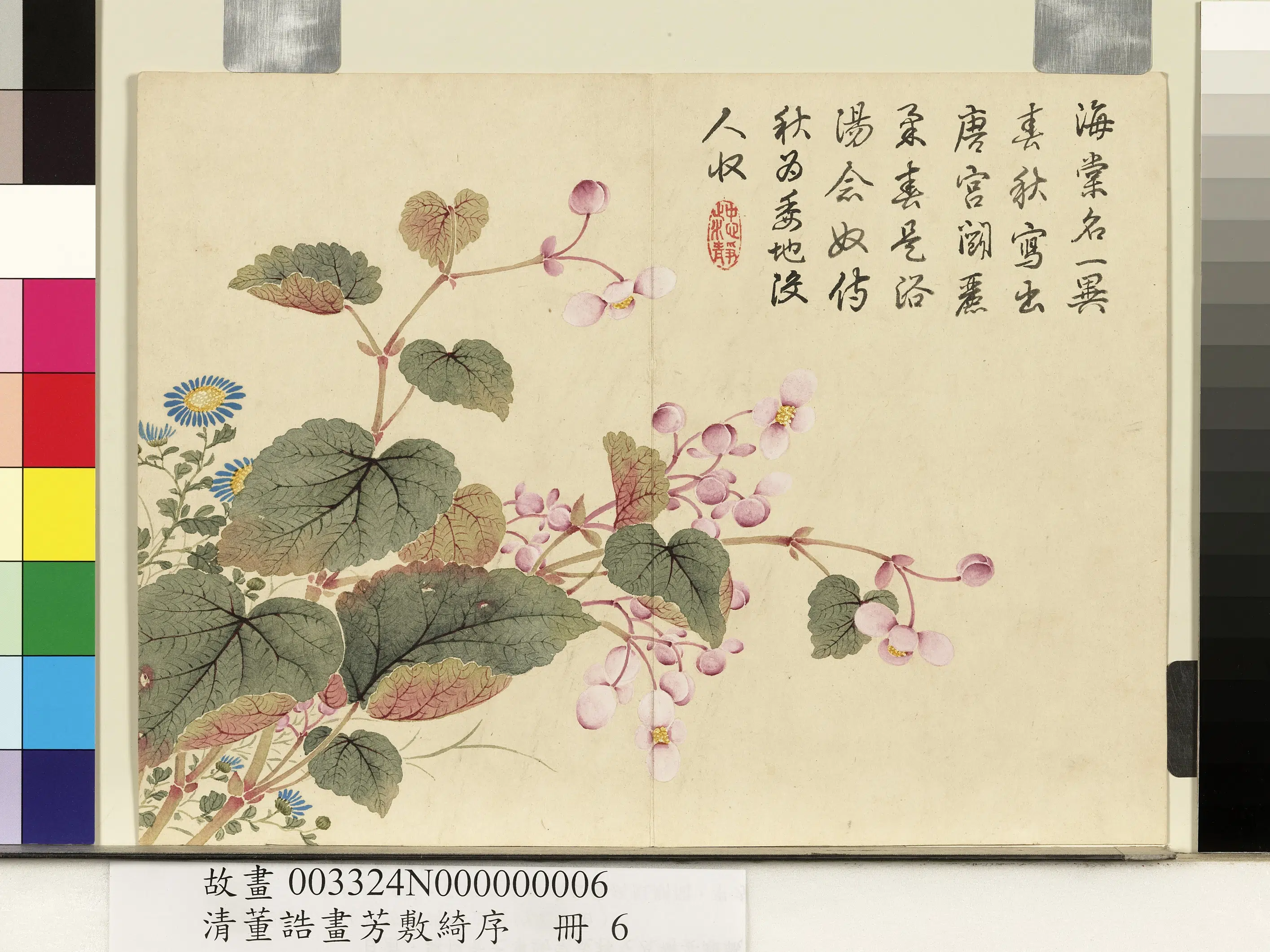 清代【董诰】《画芳敷绮序册-秋海棠》