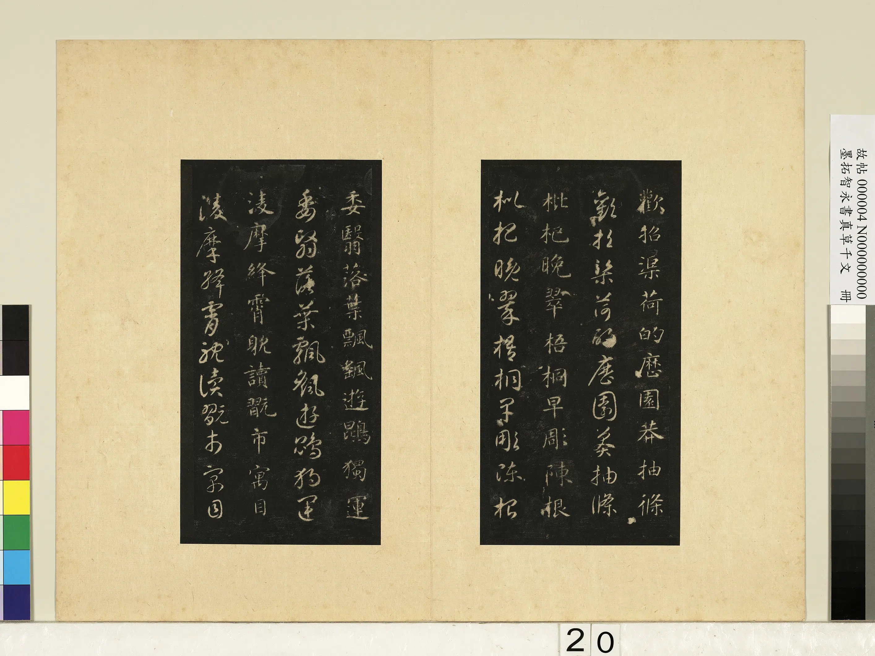 唐朝【释智永】《墨拓智永书真草千文册》 第13张