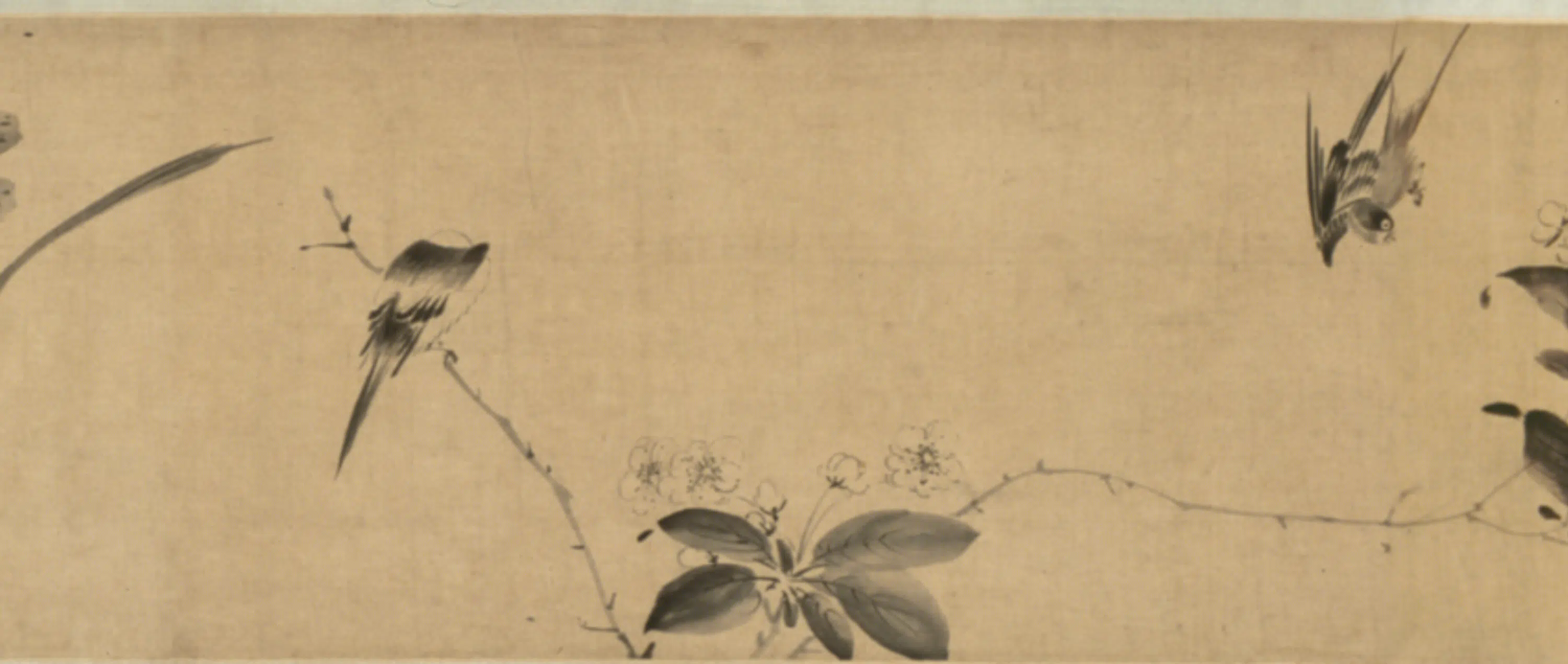 明朝【李因】《花鸟图卷》 第11张