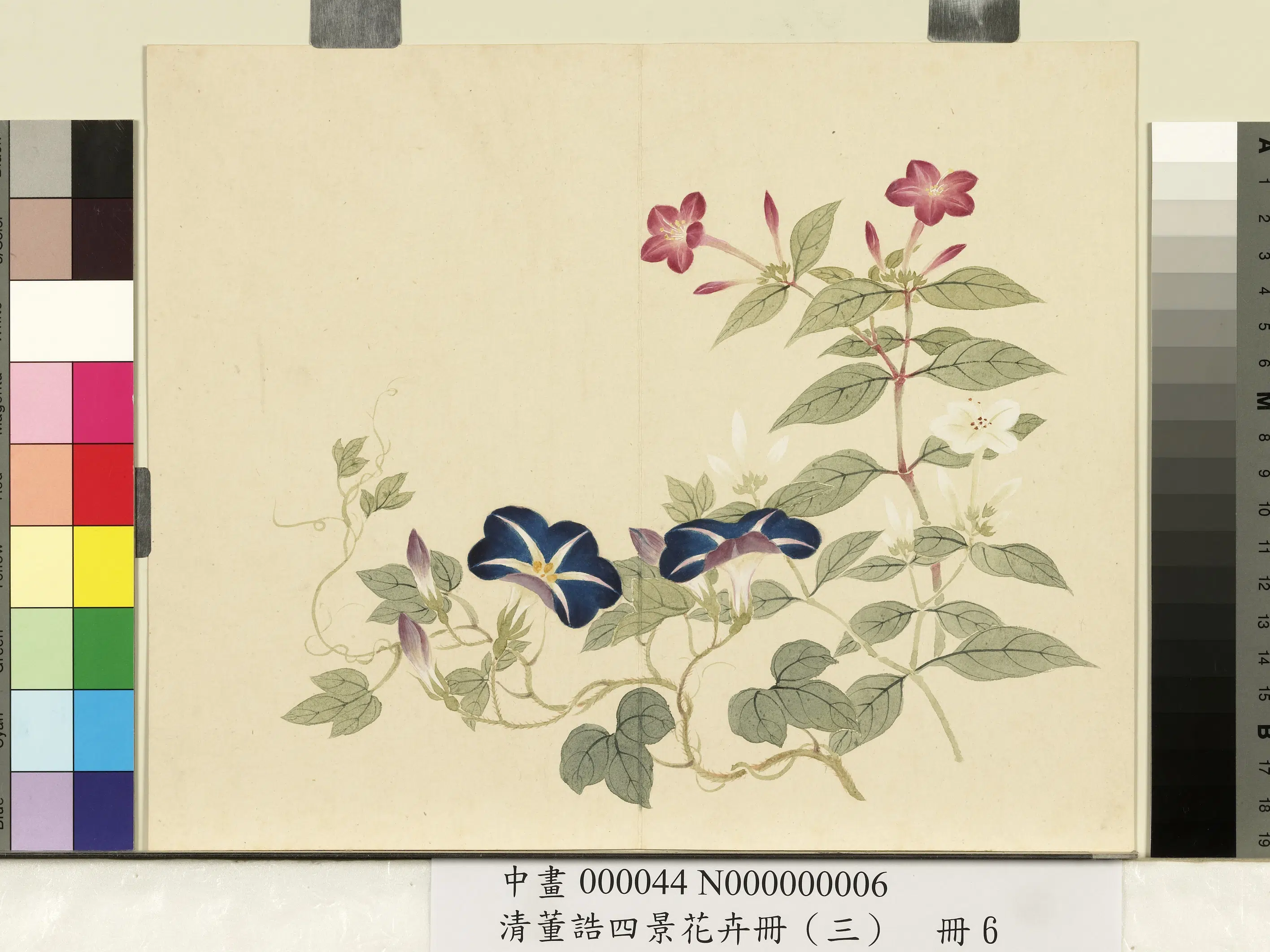 清代【董诰】《四景花卉(三)册-秋景花卉之六》 第1张 清代【董诰】《四景花卉(三)册-秋景花卉之六》 第1张