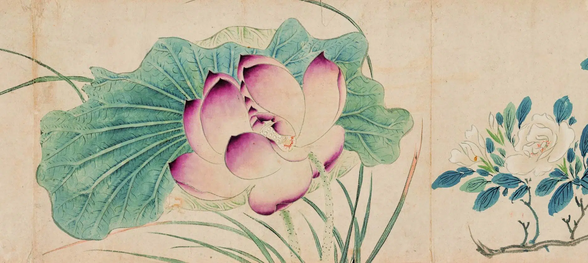 明朝【马守真】《花卉卷》 第5张