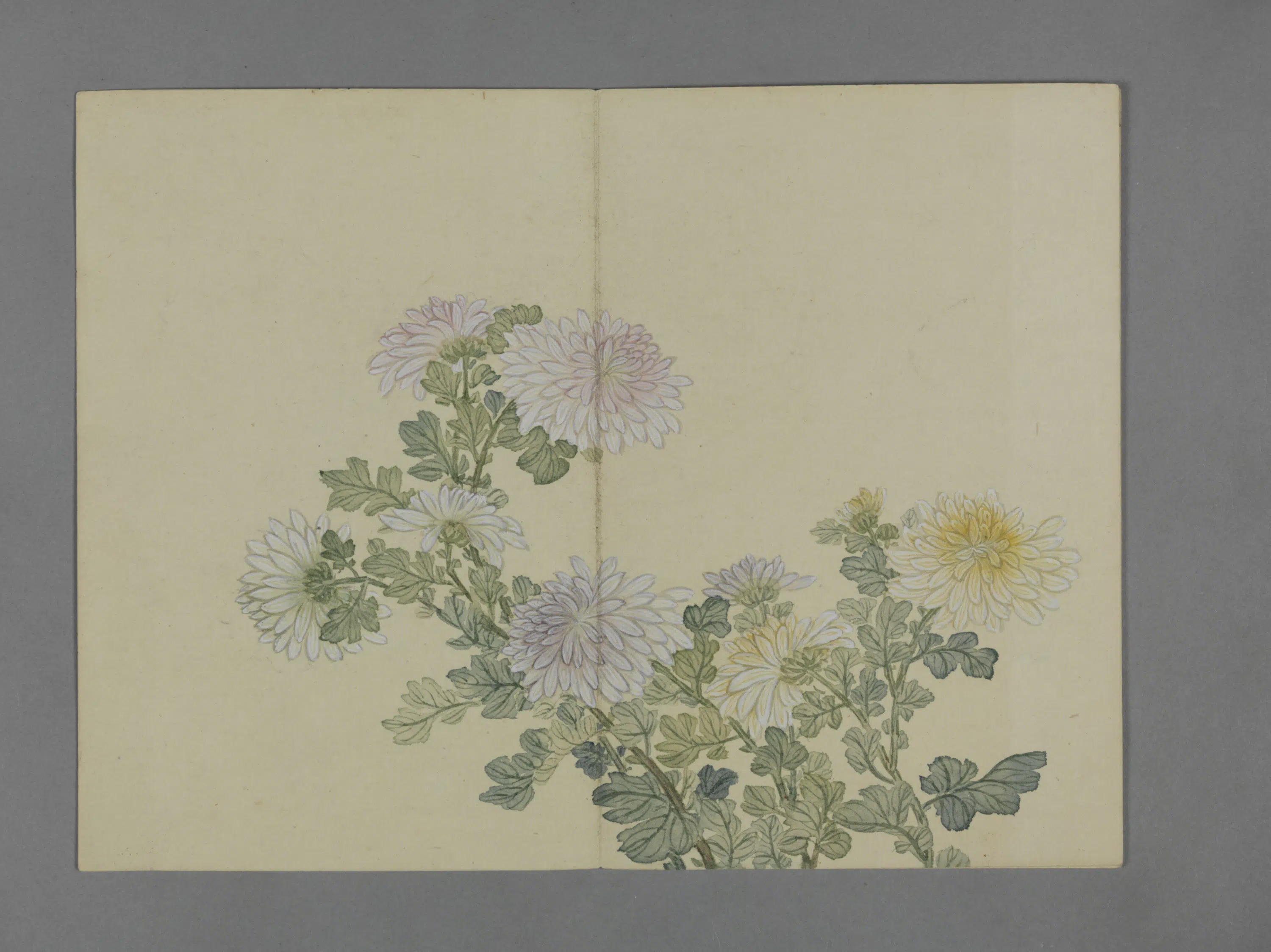 清代【蒋溥】《花卉图册（6开）》 第5张