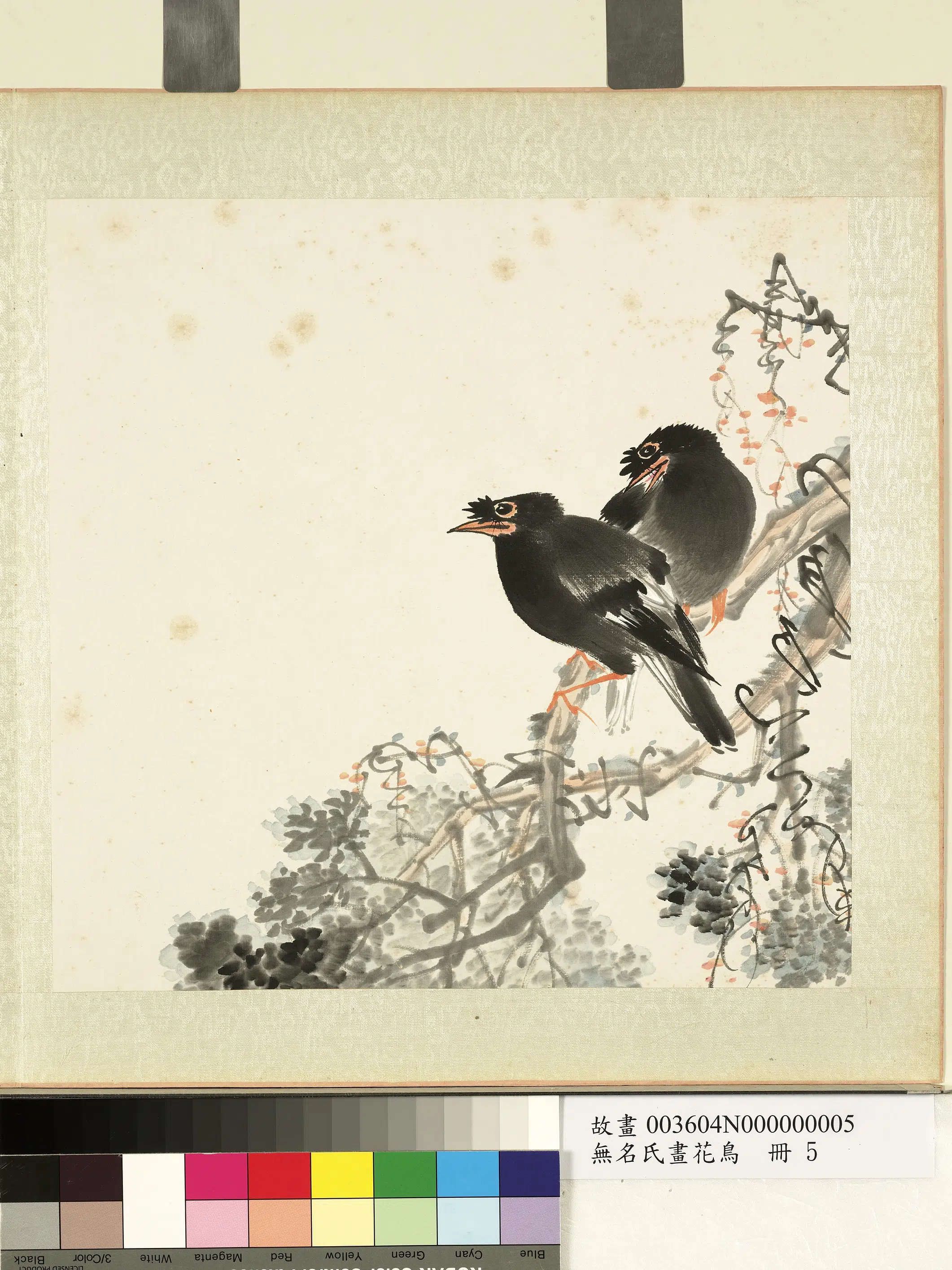 《无名氏画花鸟册》 第6张 《无名氏画花鸟册》 第6张
