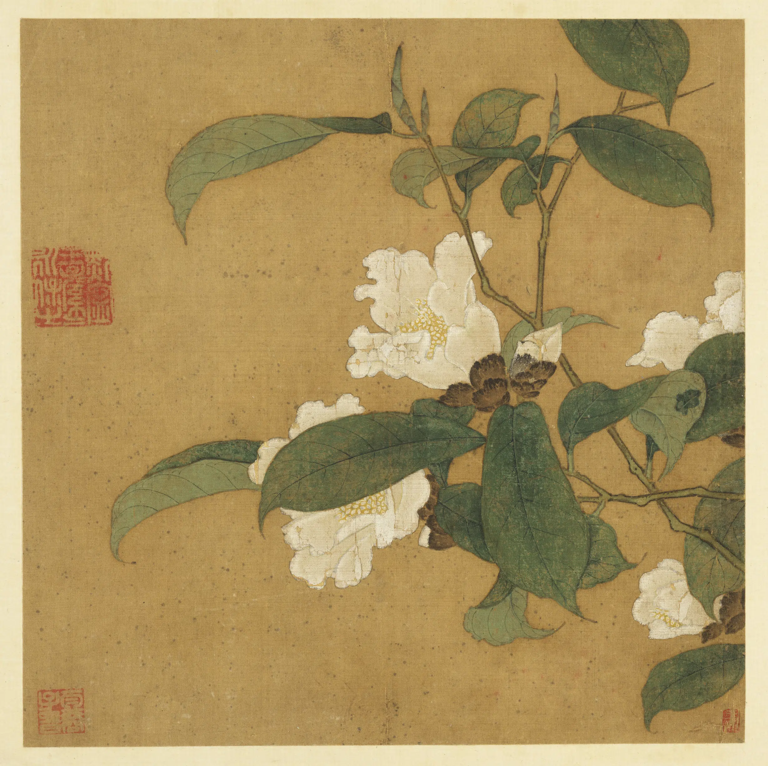 清朝【佚名】《历代画幅集册-无款茶花》