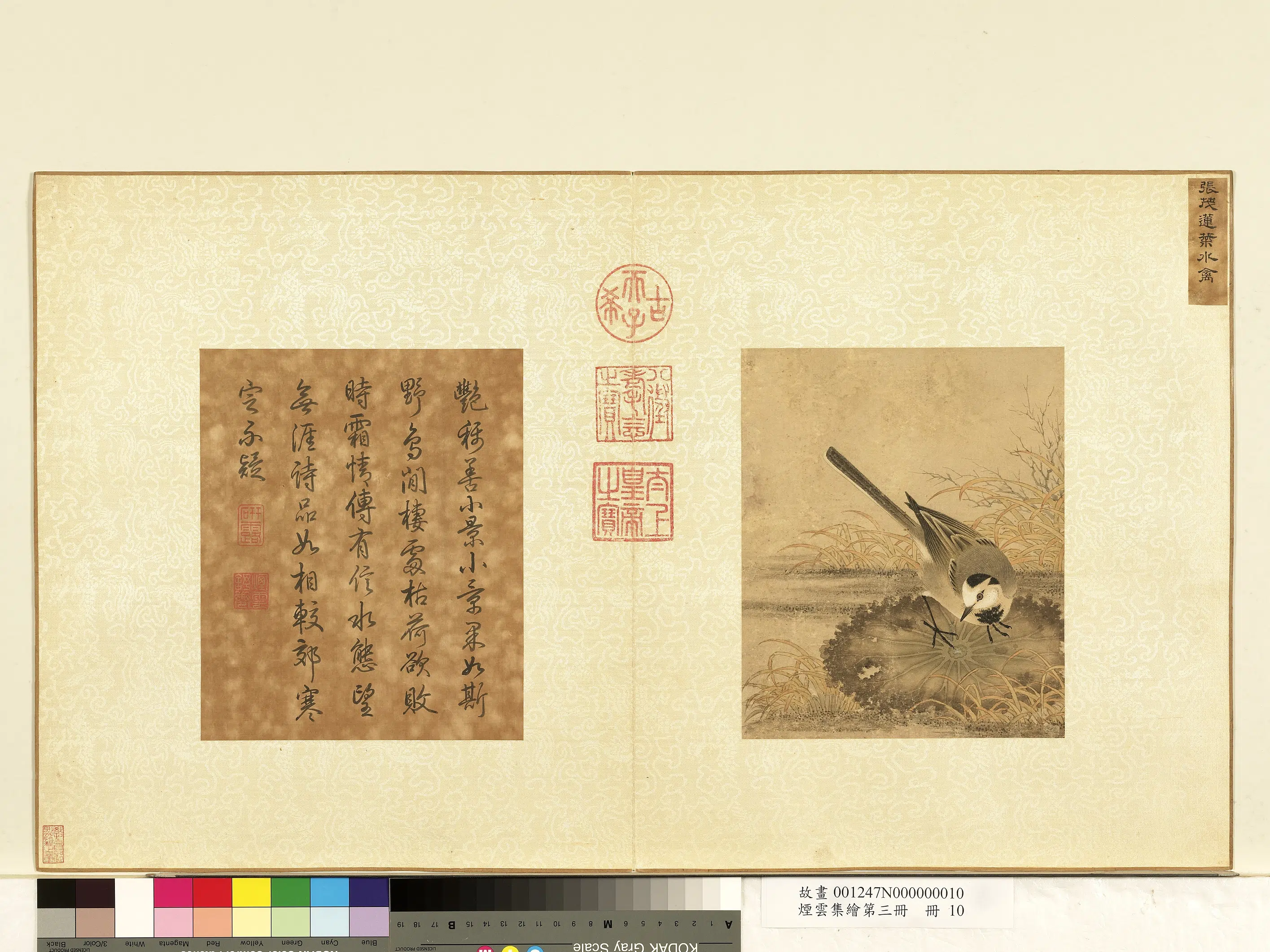 南宋【张茂】《烟云集绘第三册-莲叶水禽》