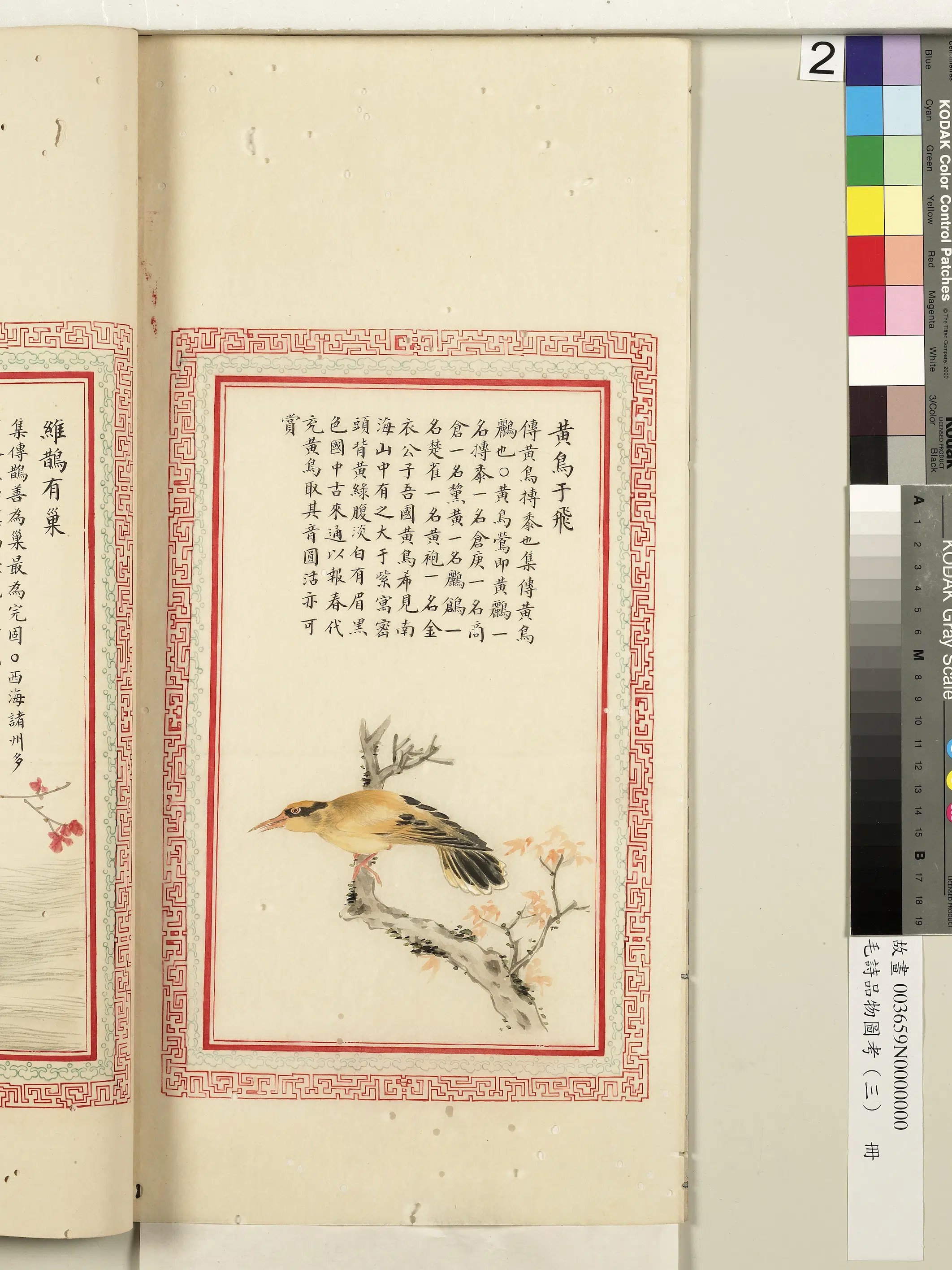 清代《毛诗品物图考(三)册-2》 第62张 清代《毛诗品物图考(三)册-2》 第62张