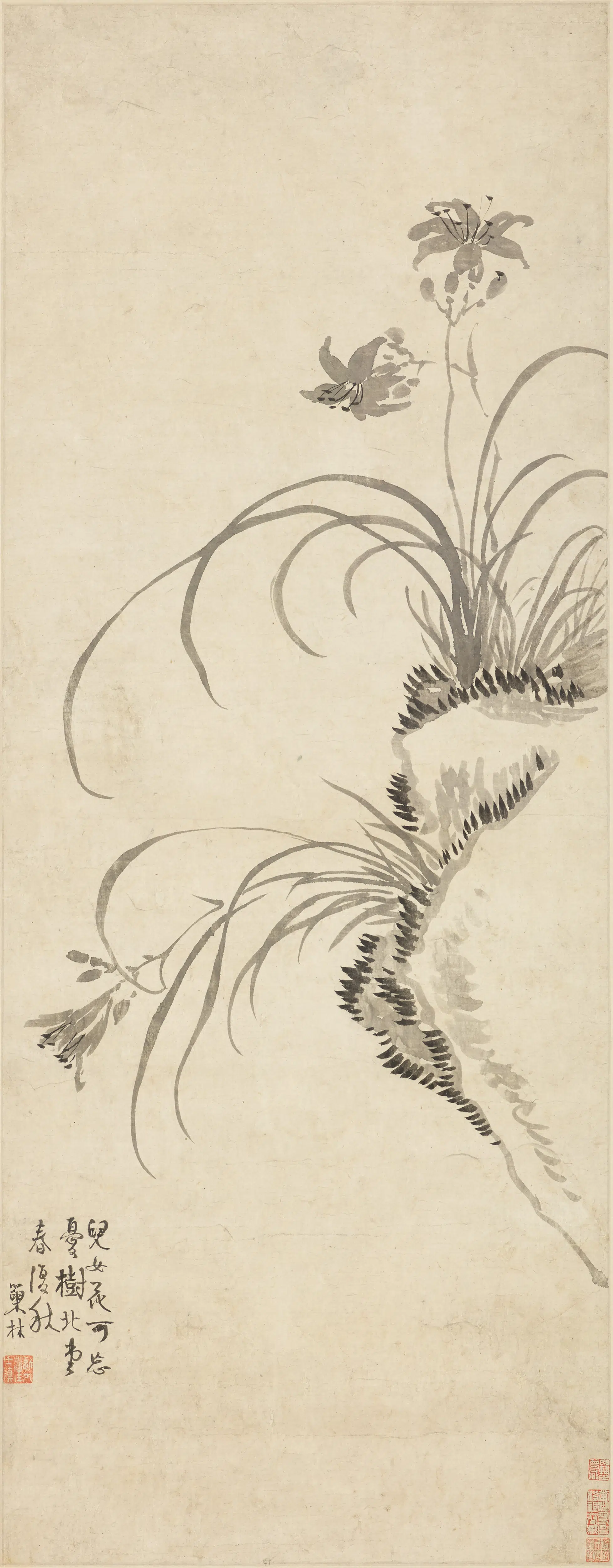 清代【汪士慎】《萱花图轴》