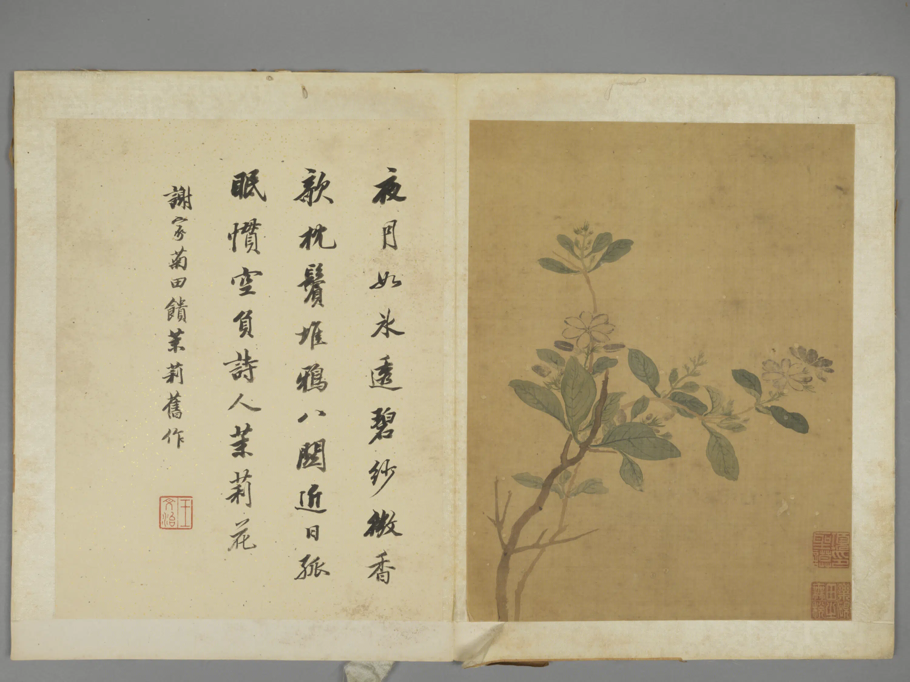 明朝【项圣谟】《花卉册（7开）》 第2张