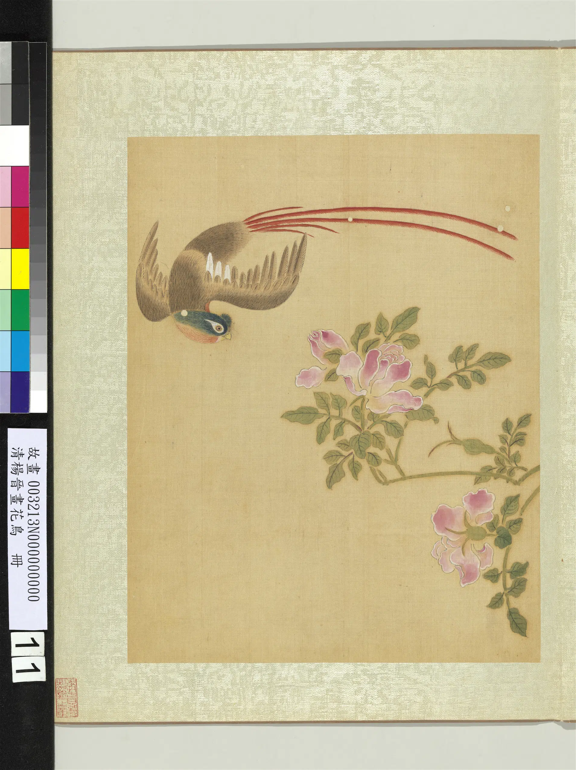 清代【杨晋】《画花鸟册-蔷薇绶带鸟》