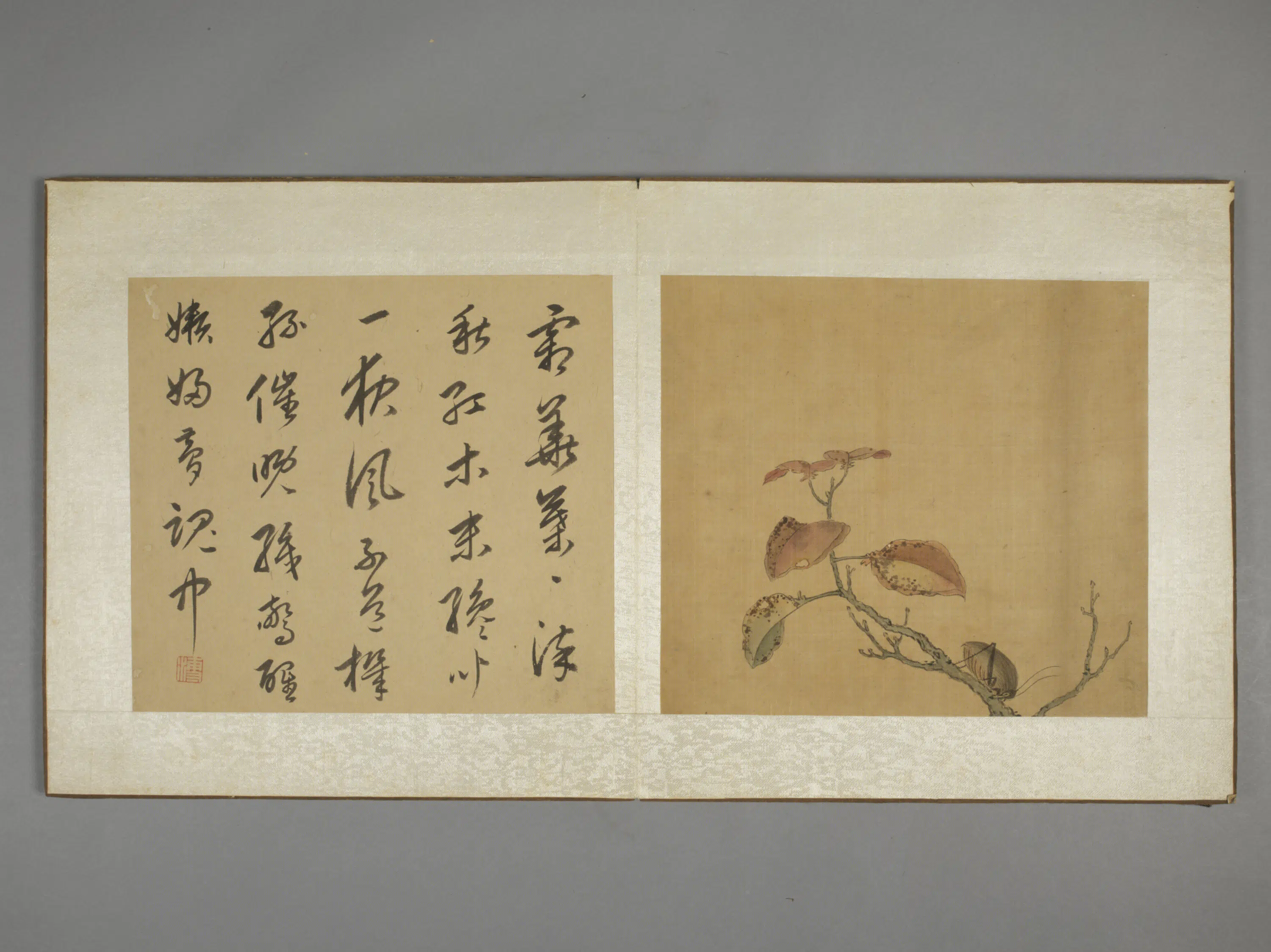 清代【陈字】《花卉人物册（10开）》 第8张