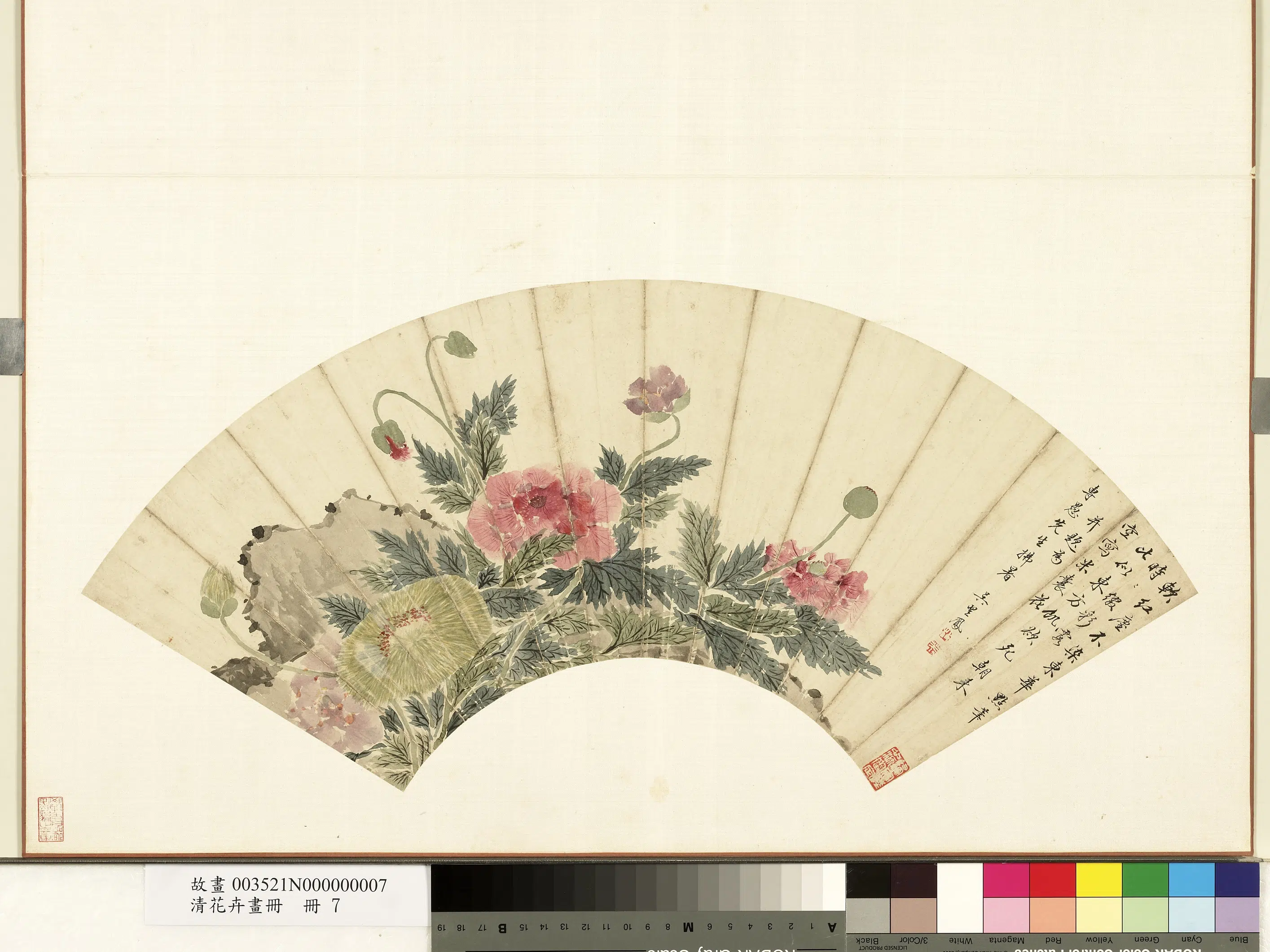 《花卉画册-7》 第3张