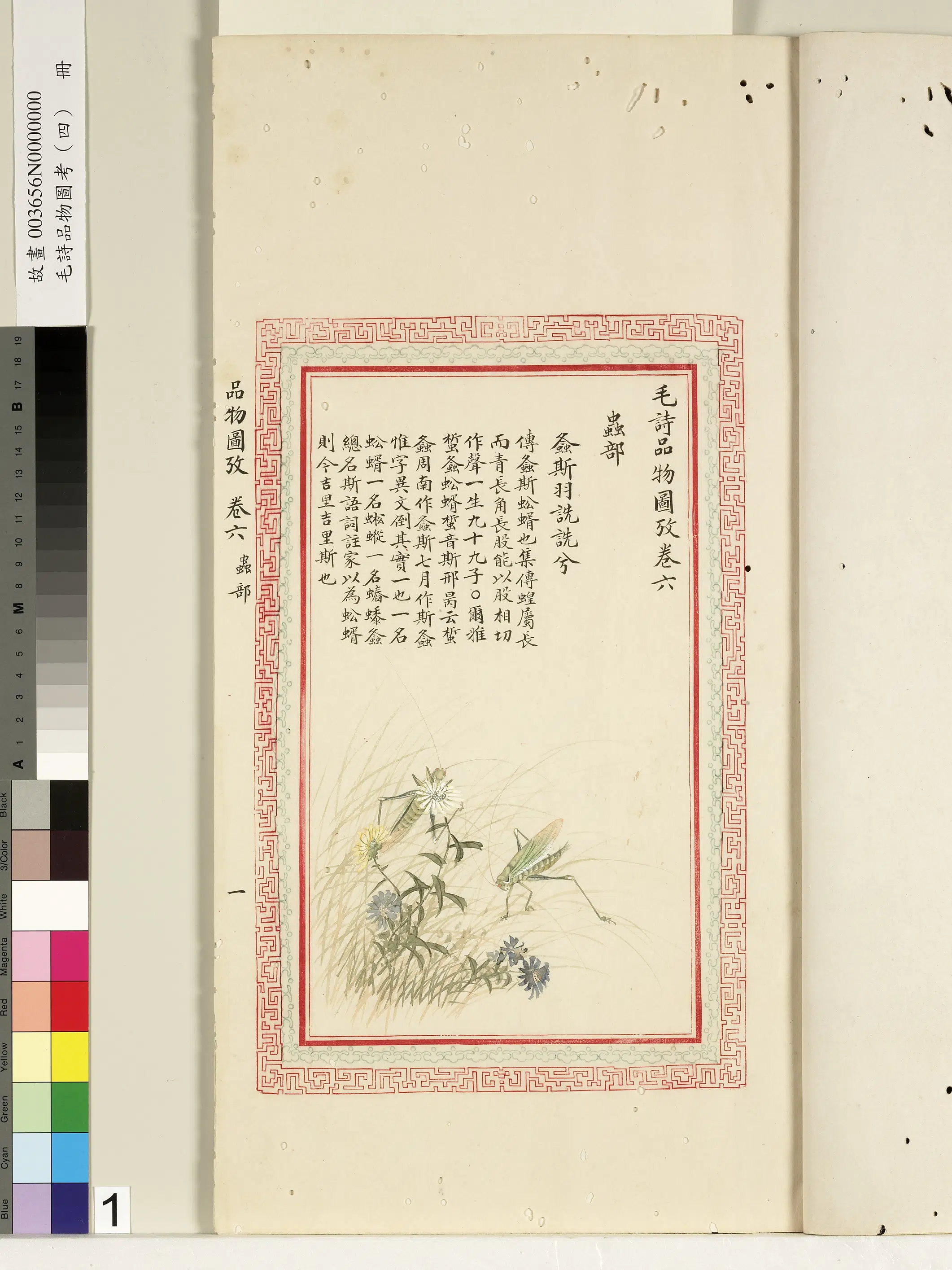 清代《毛诗品物图考（四）册-1》 第23张