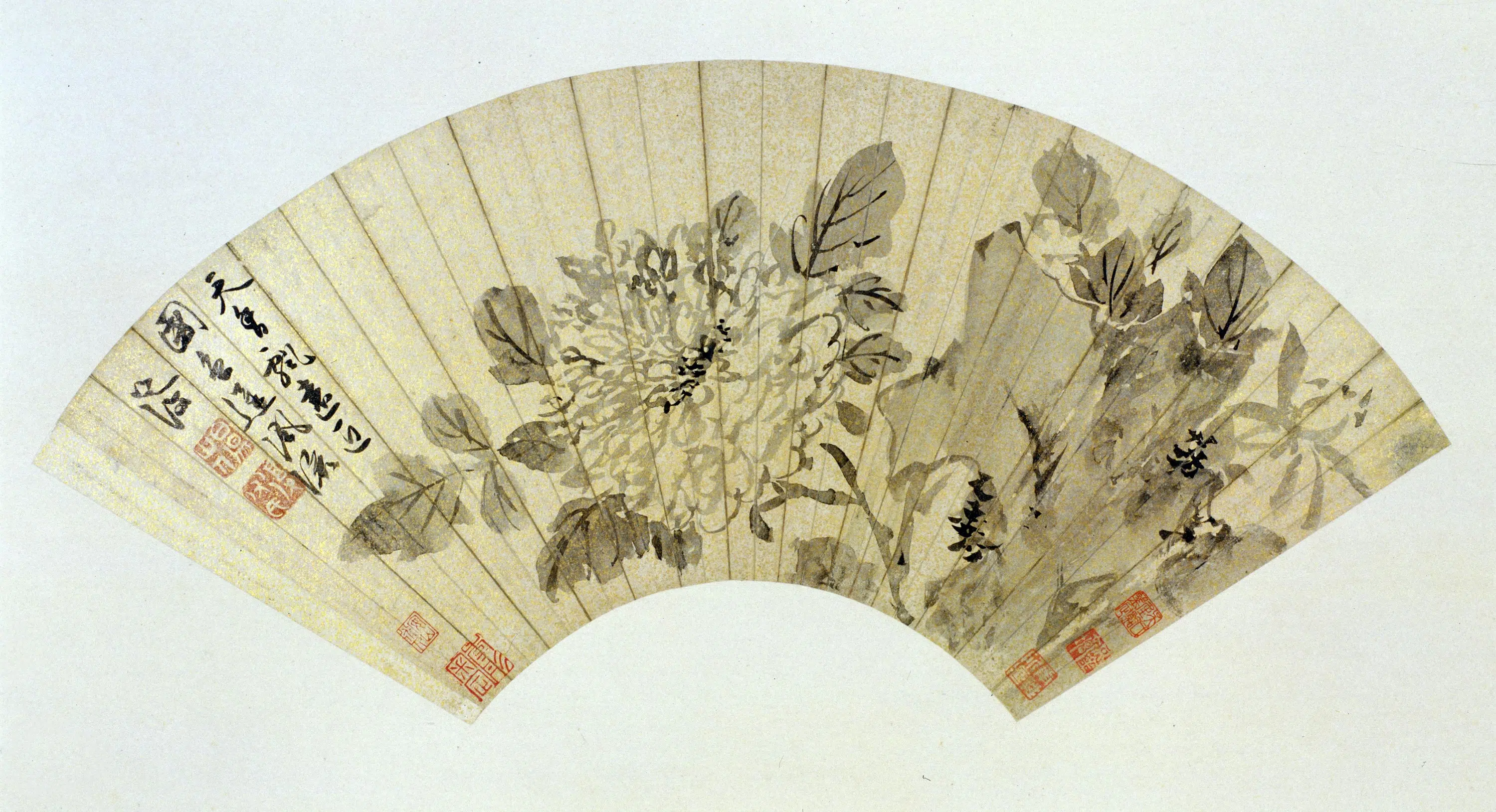 明朝【陈淳（道复）-可能重复】《天香图-扇页》