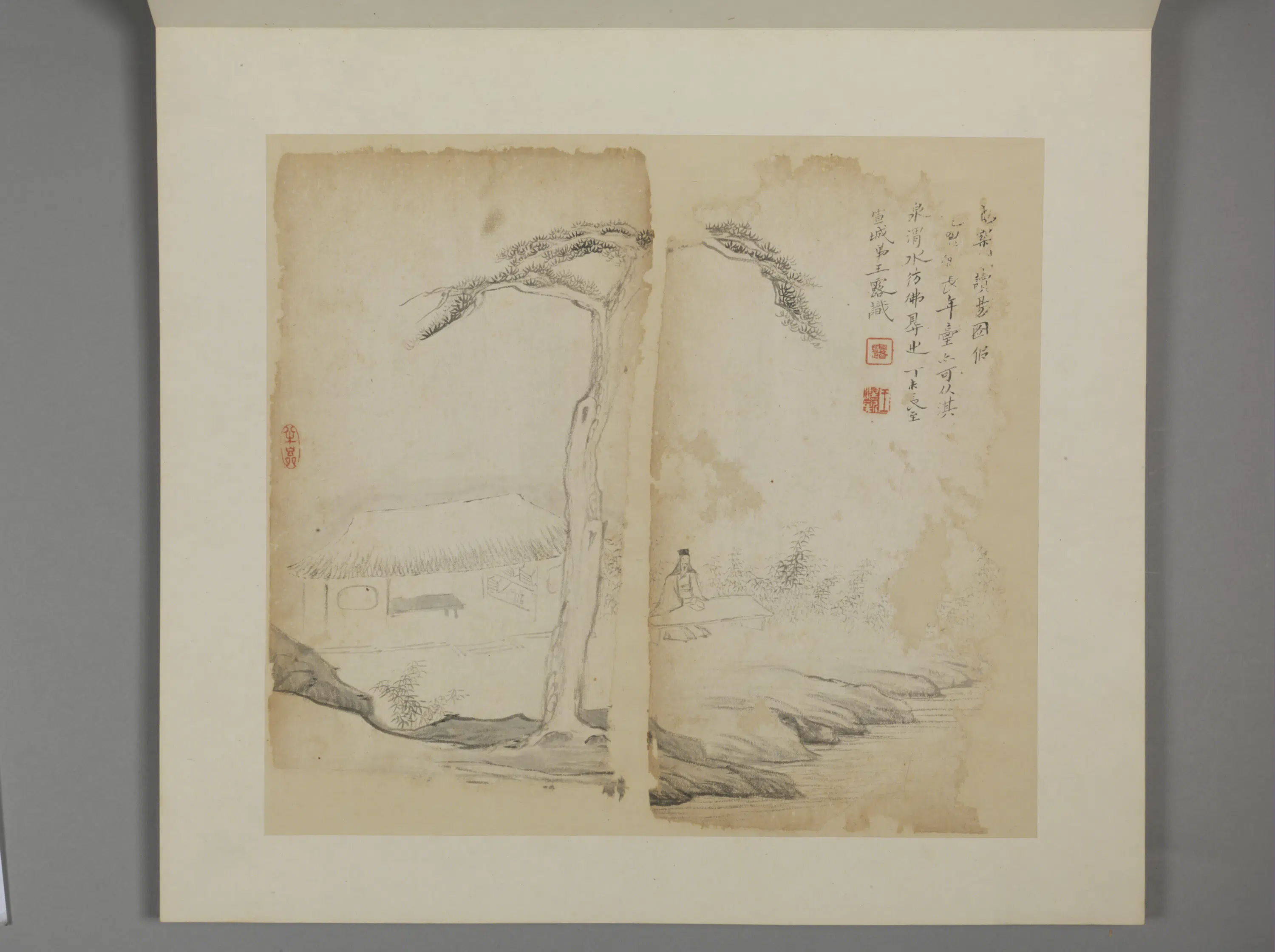清代【王露】《花卉册》 第8张 清代【王露】《花卉册》 第8张