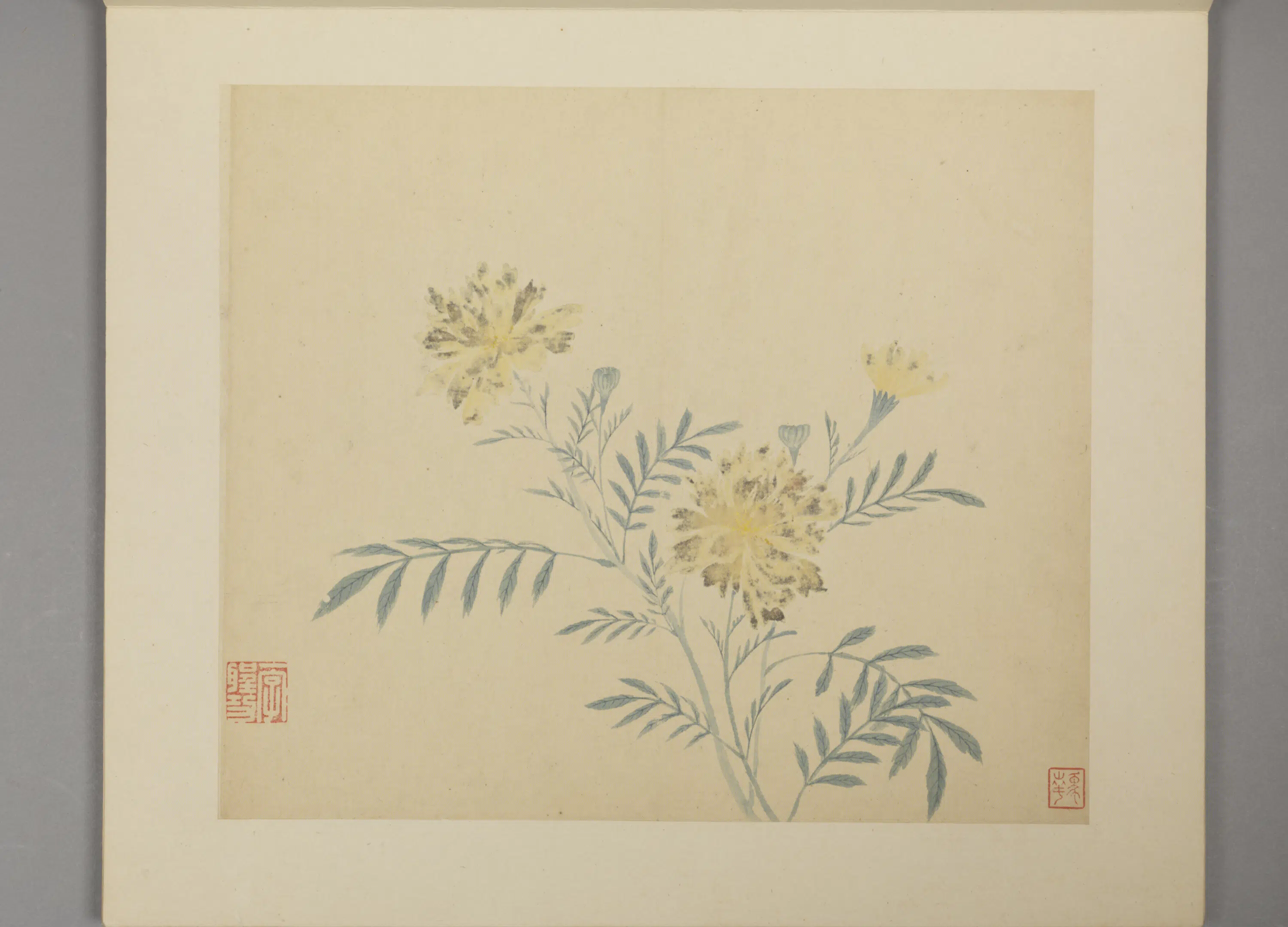 明朝【凌必正】《花鸟册》 第12张