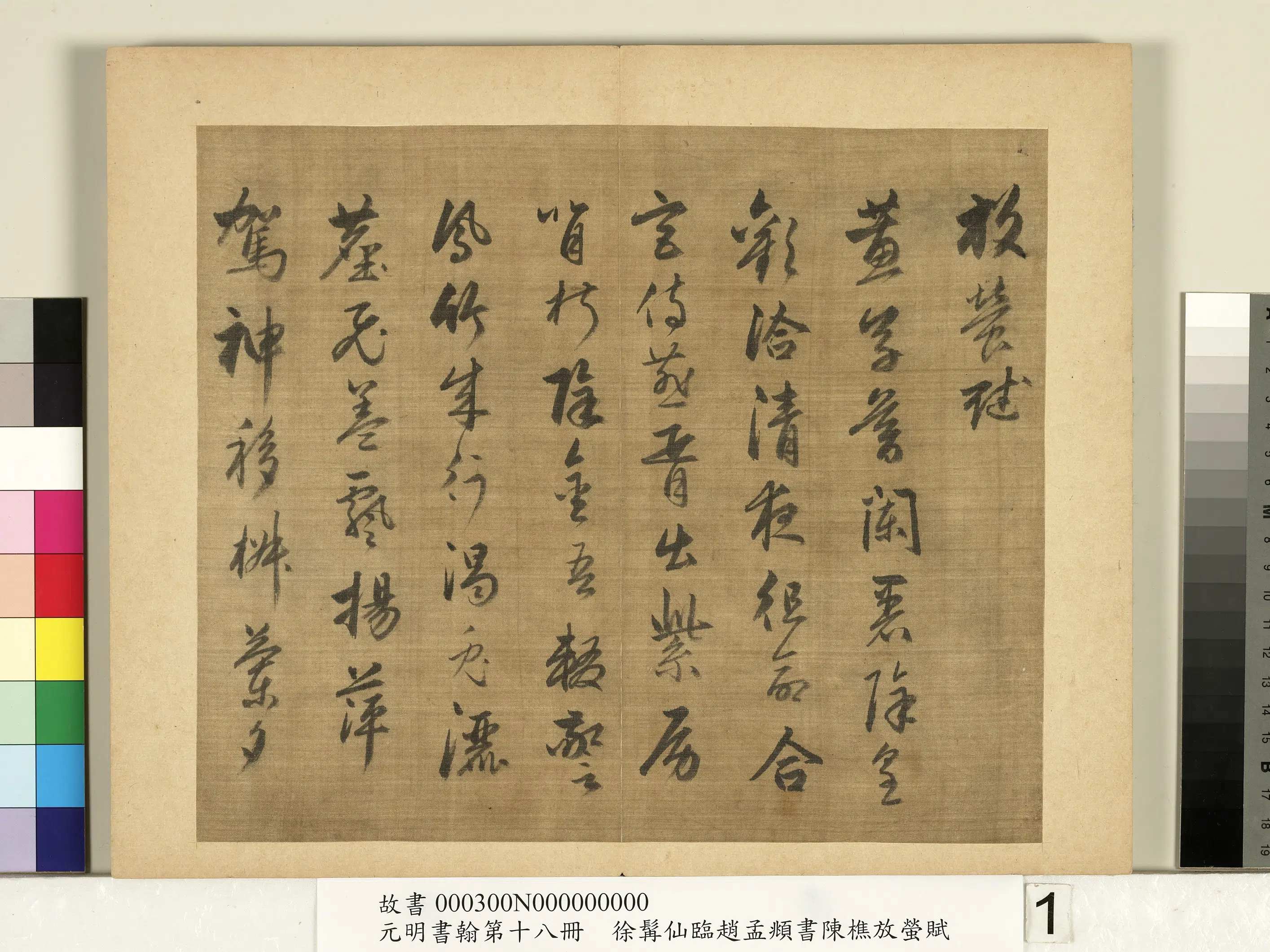明朝【徐霖】《临赵孟頫行书陈樵放萤赋-元明书翰第十八册》 第1张