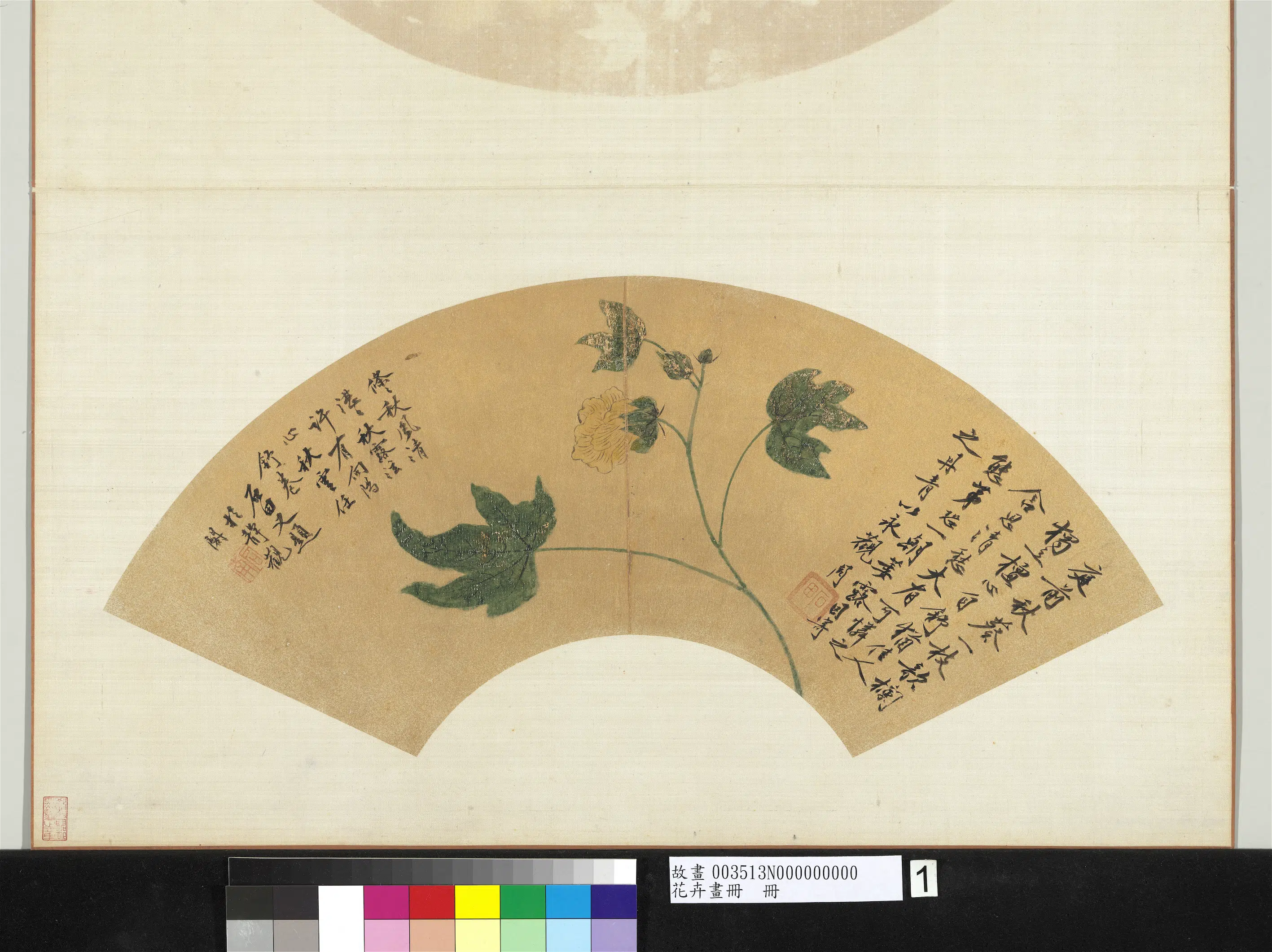 明朝【沈周】《秋葵图_花卉画册》
