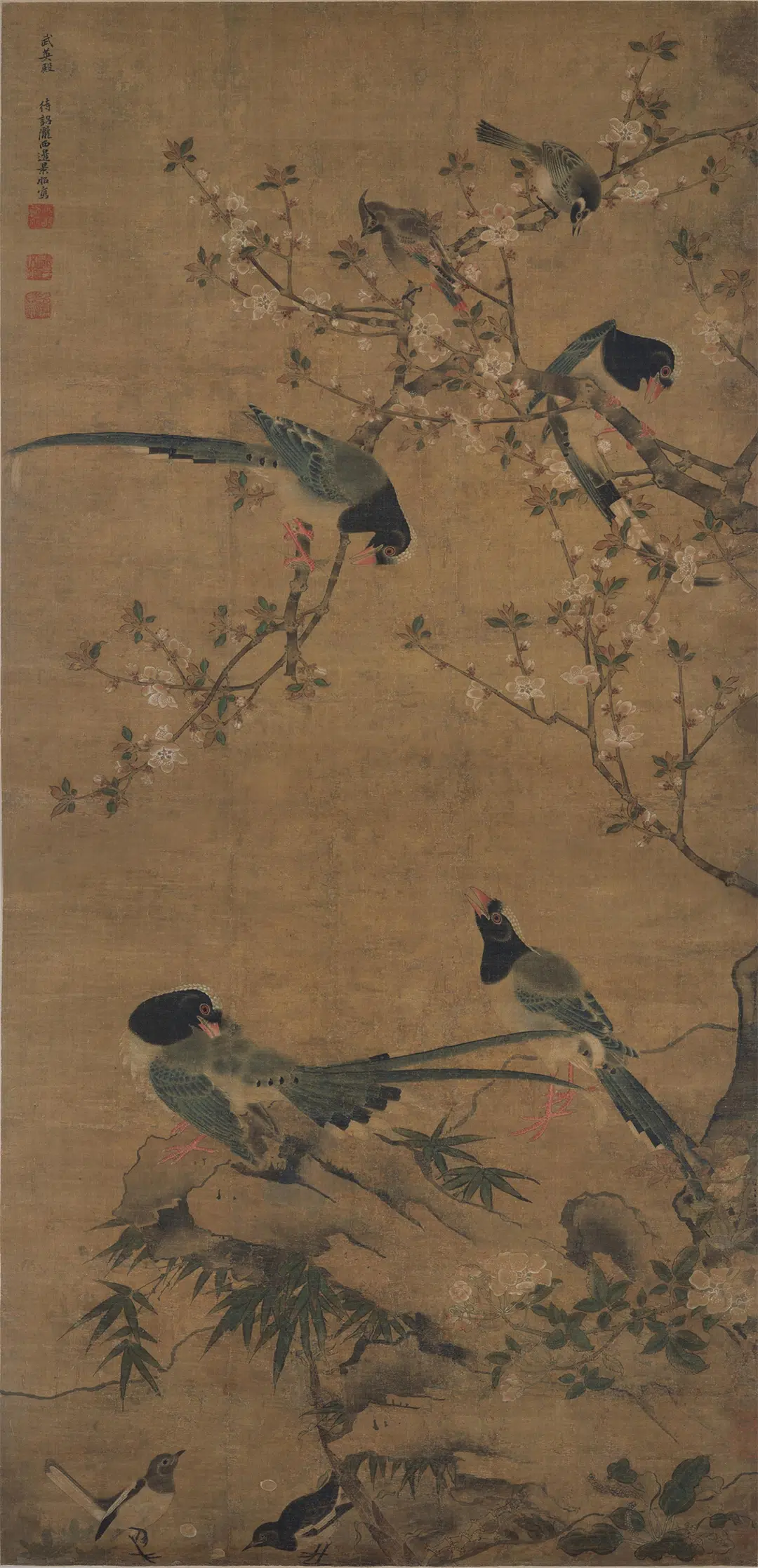 明朝【边景昭（文进）】《花竹聚禽图轴》