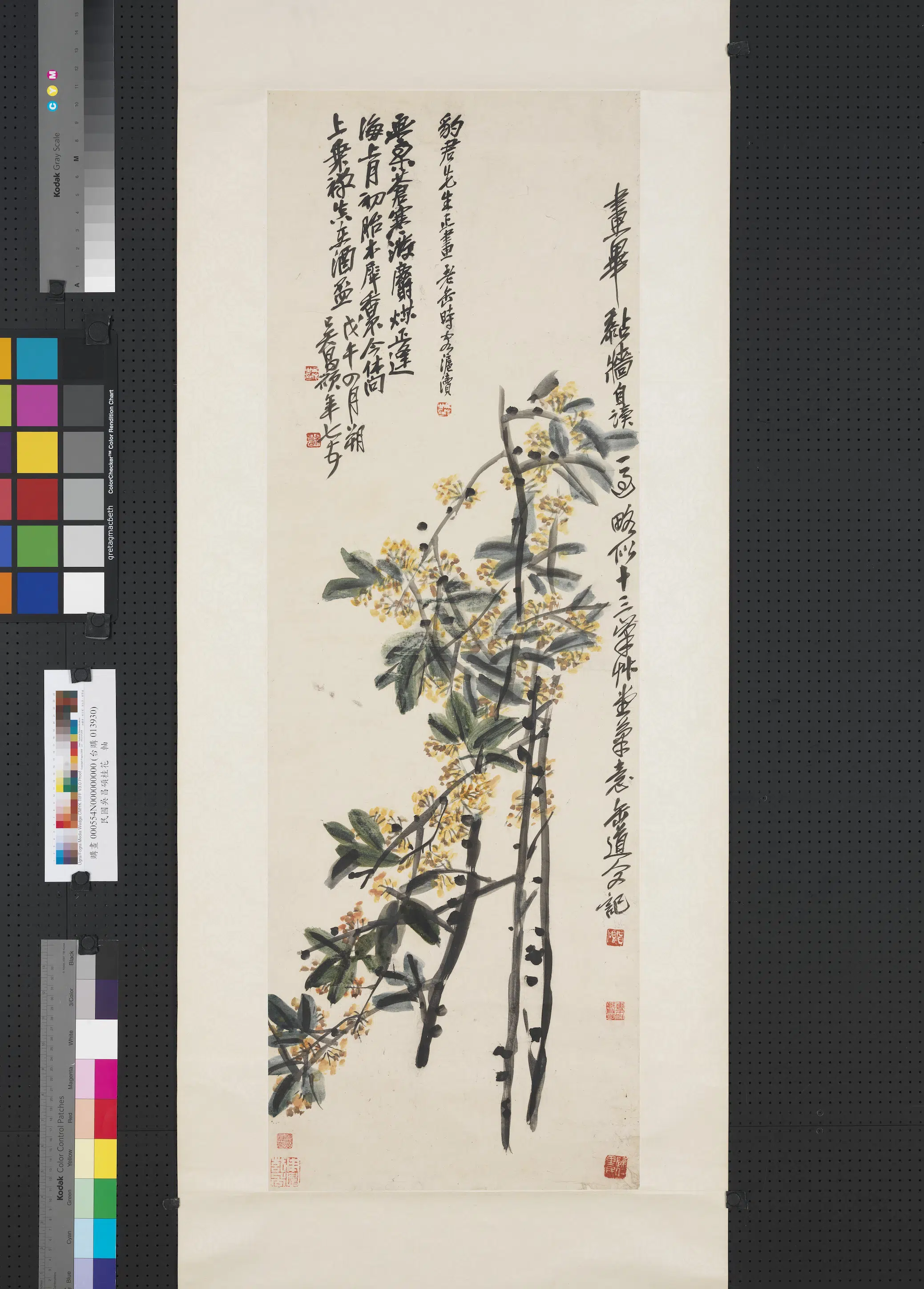 清代【吴昌硕】《桂花图轴》