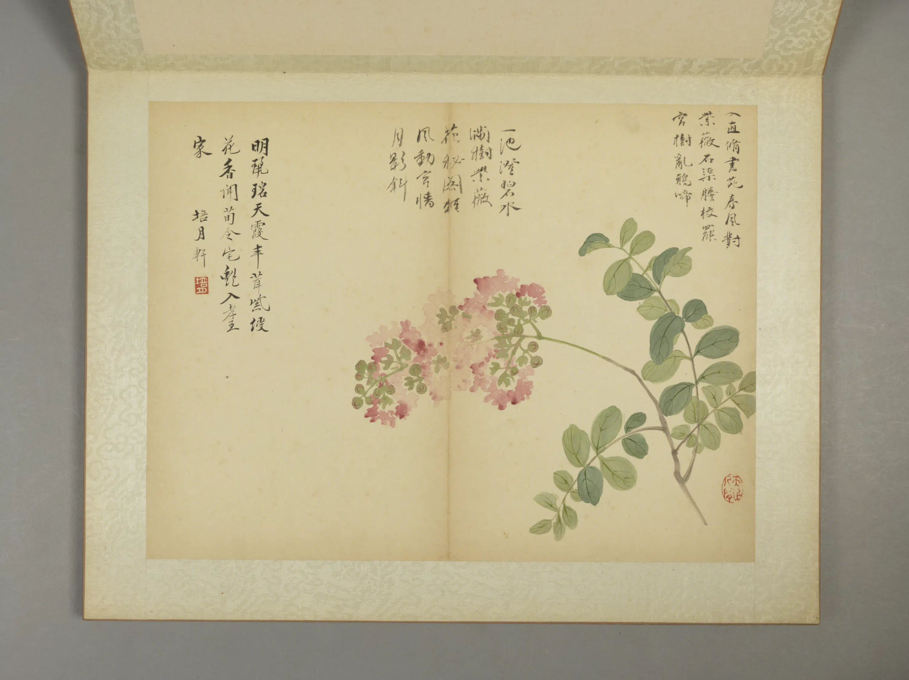 清代【邹一桂】《花卉图册（11开）》 第11张