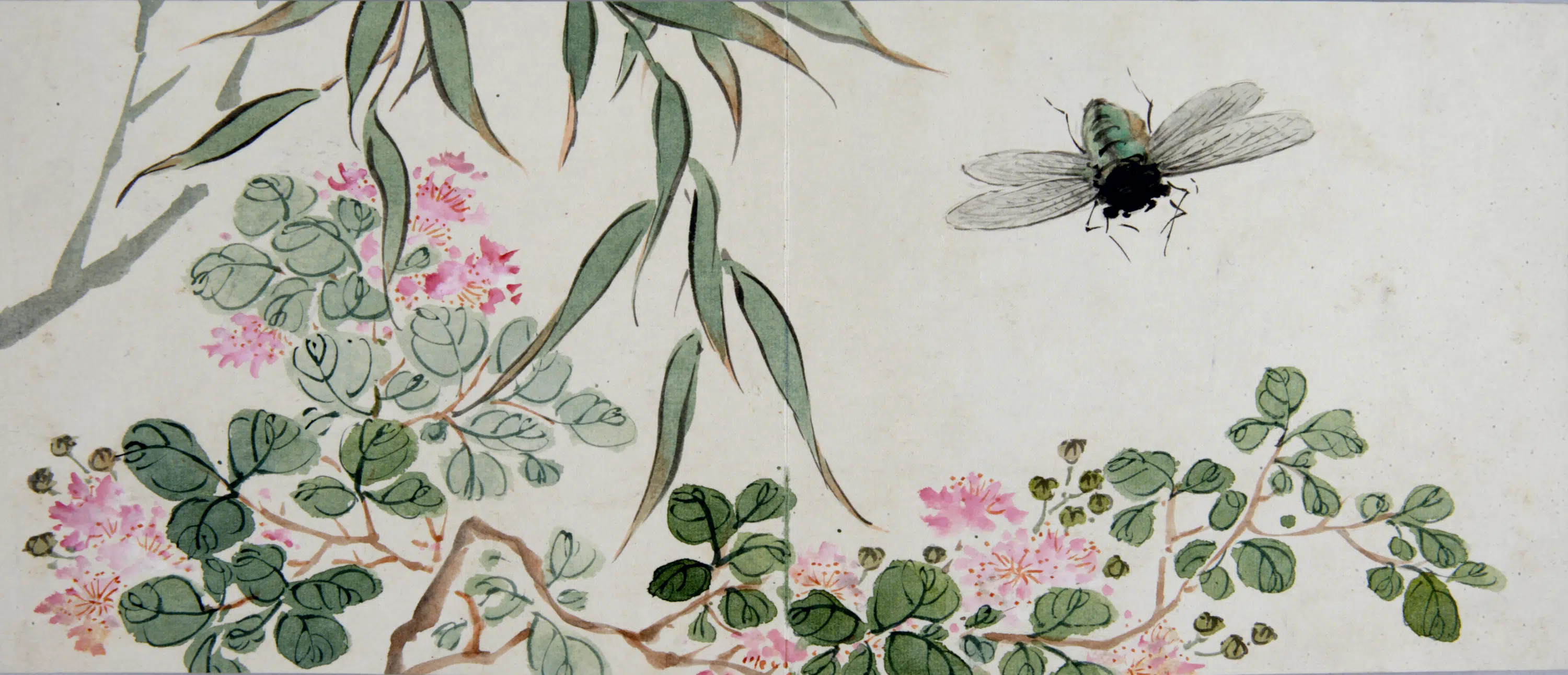 清代【黄钺】《化洽翾蜎图册》 第6张