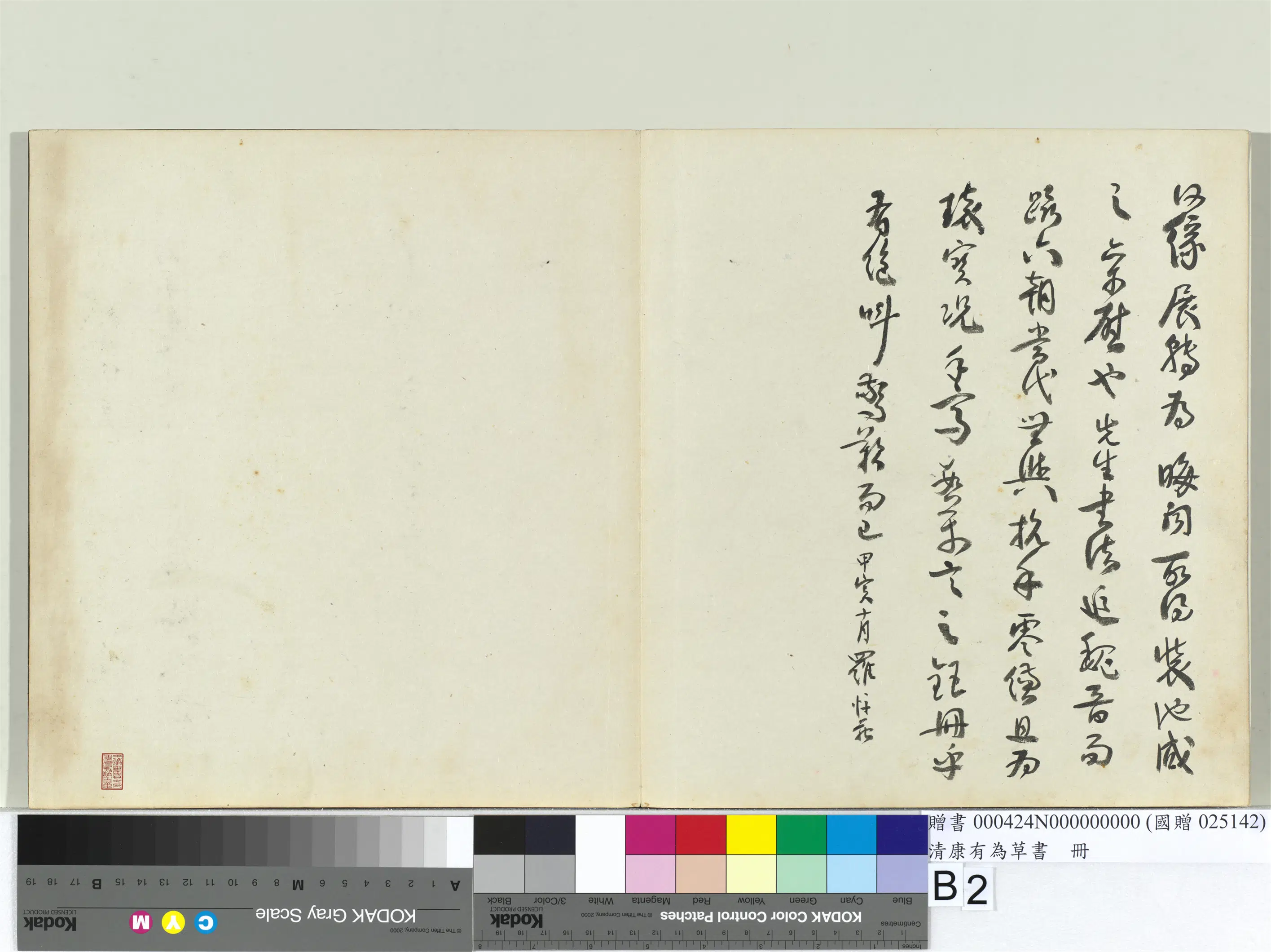 清代【康有为】《草书册》 第47张