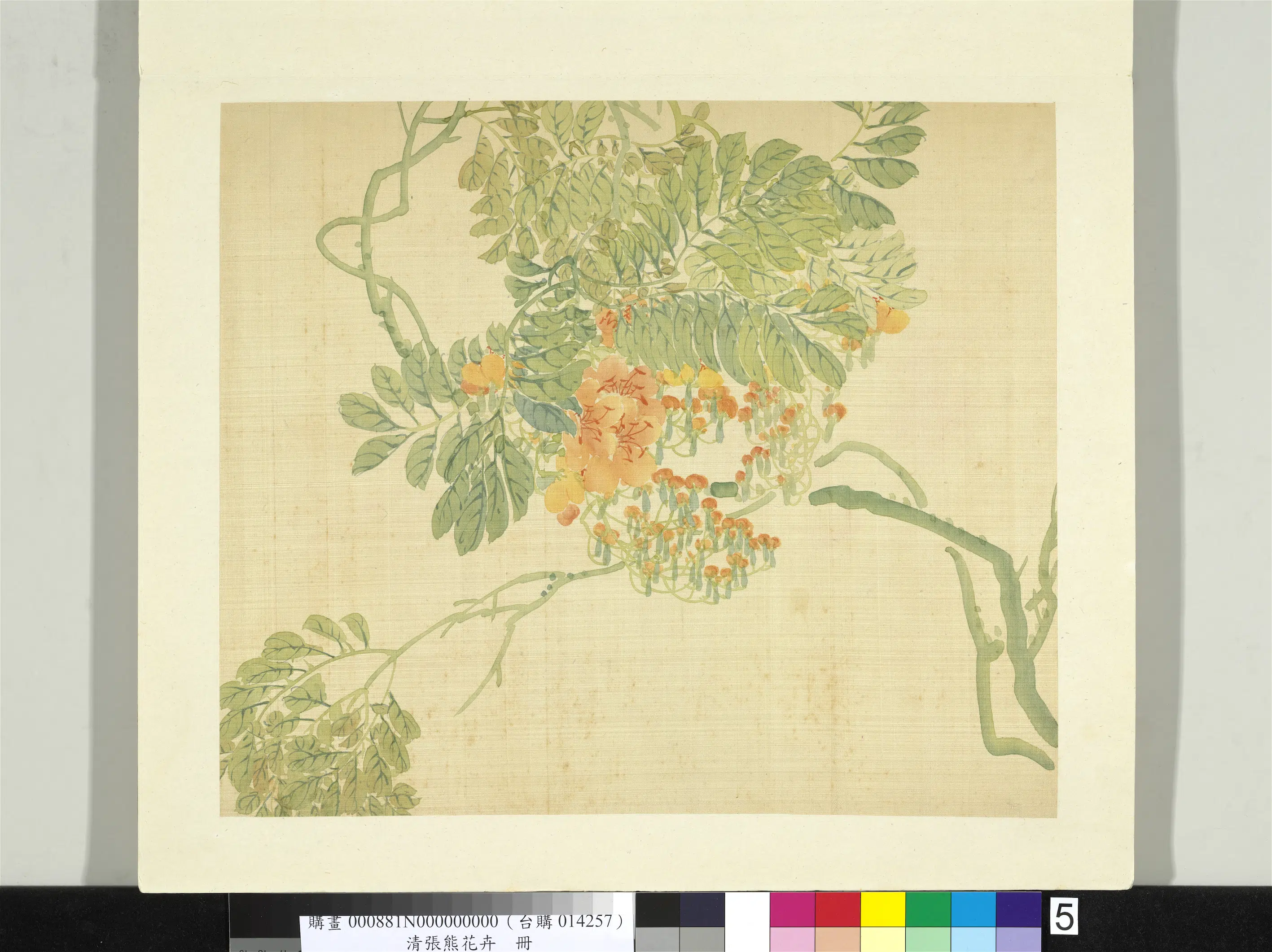 清代【张熊】《花卉册》 第1张 清代【张熊】《花卉册》 第1张