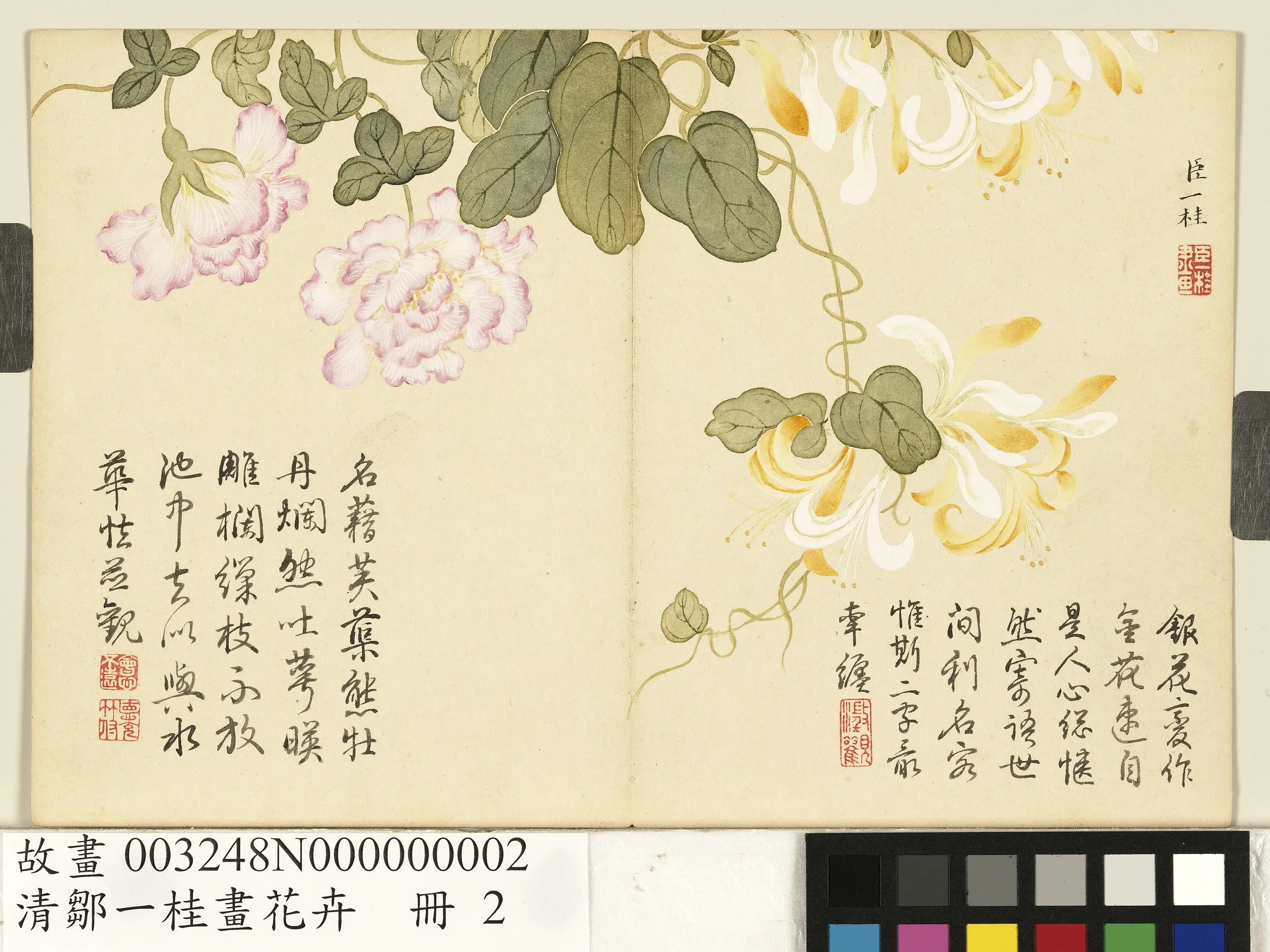 清代【邹一桂】《画花卉册》 第14张 清代【邹一桂】《画花卉册》 第14张