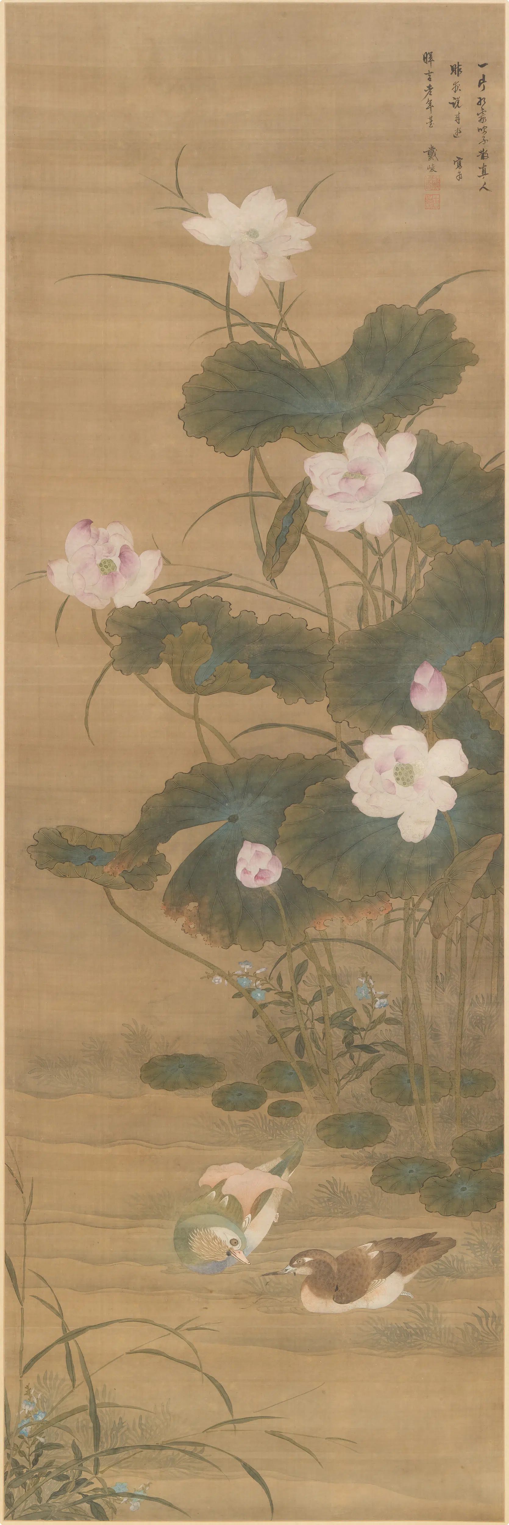 清代【戴峻】《荷花鸳鸯图轴》 第1张